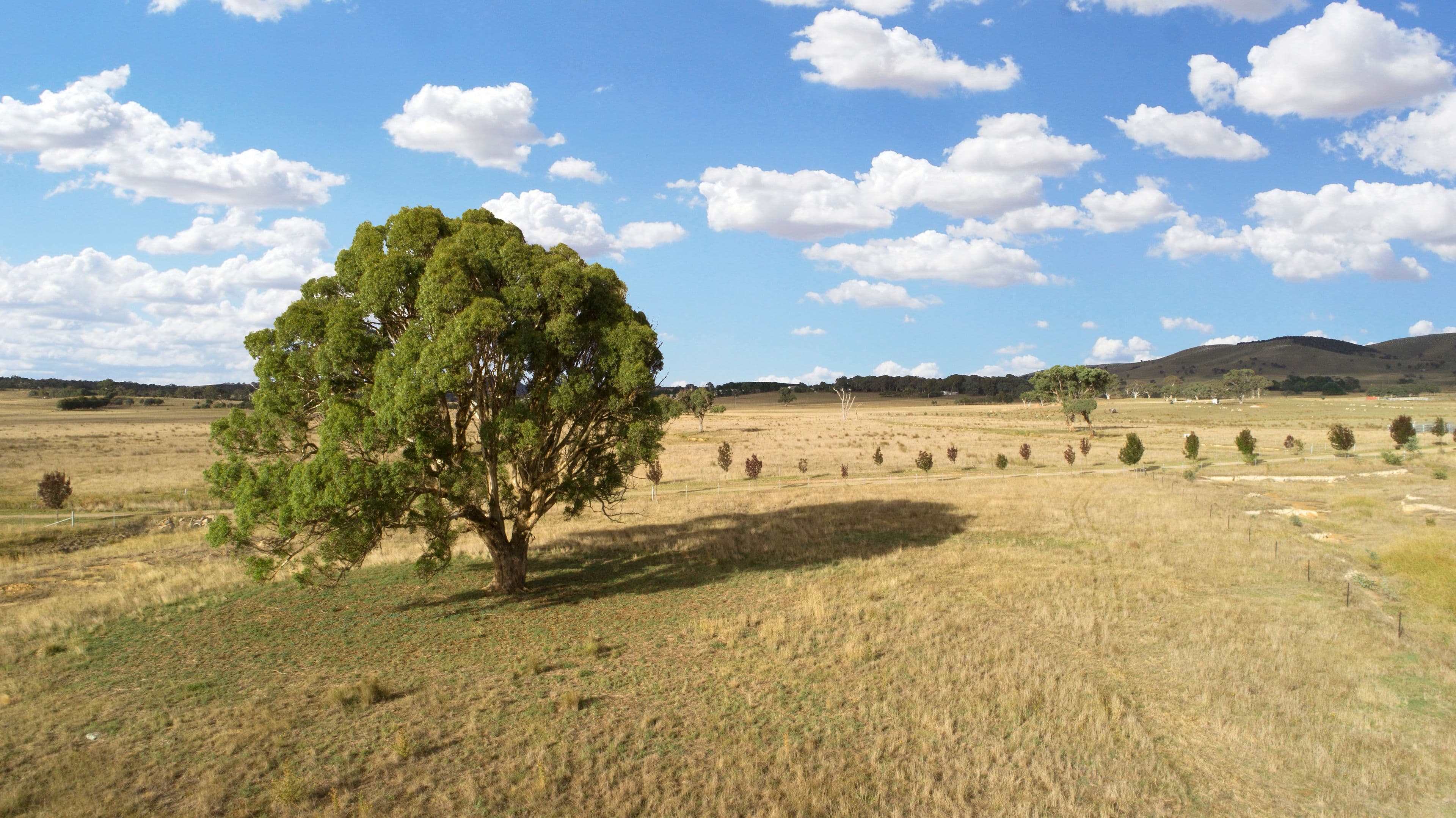 Lot 2, 72 Birril Close, Springrange NSW 2618, Springrange - Thumbnail 7