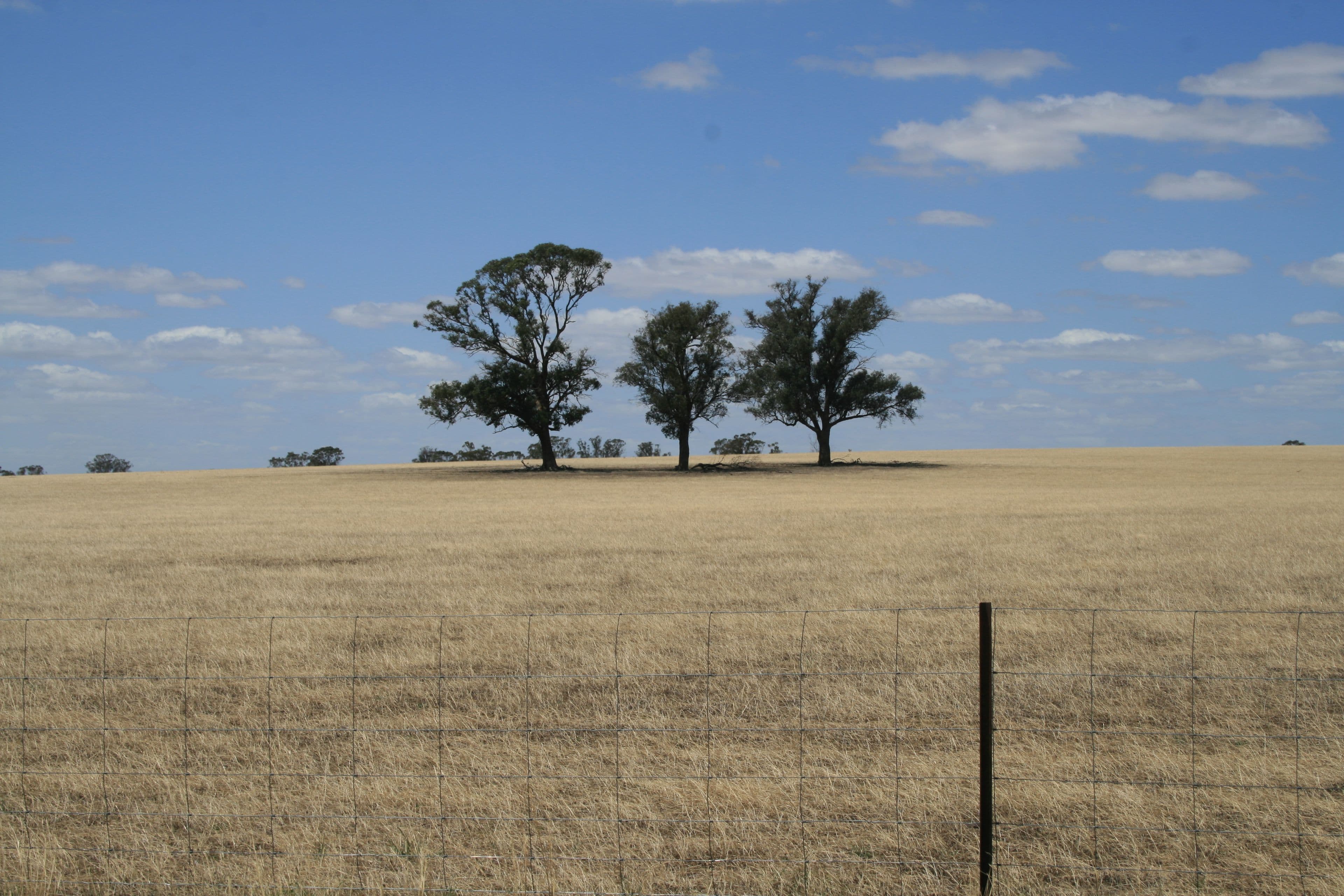 CA28 Avonmore-Mayreef Road (Lot 1 and Lot 2), KAMAROOKA VIC 3570, Kamarooka - Thumbnail 2