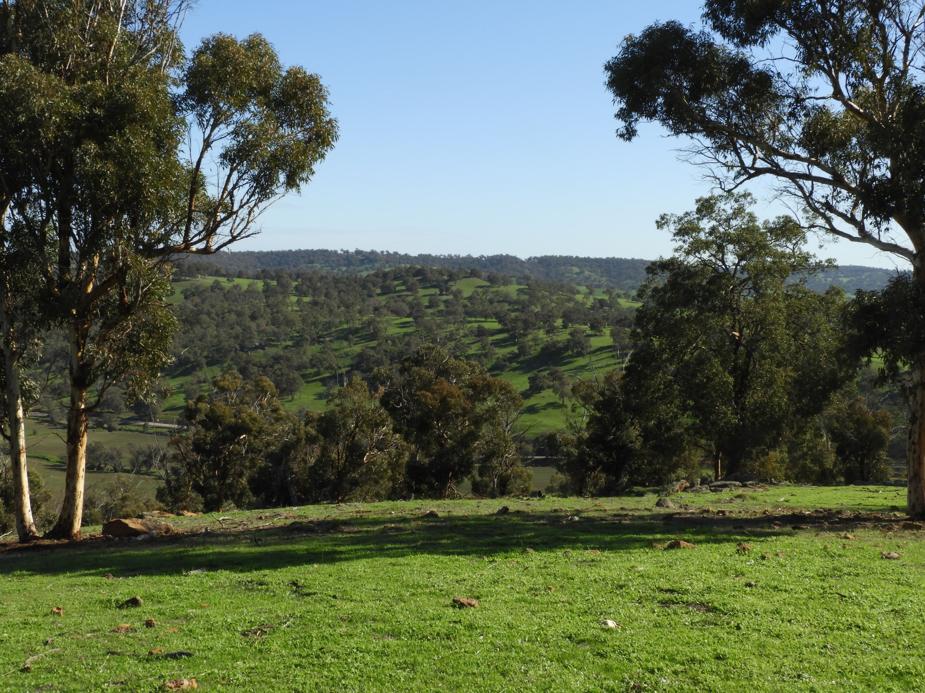 712 Davis Road, Chittering WA 6084, Chittering - Thumbnail 8