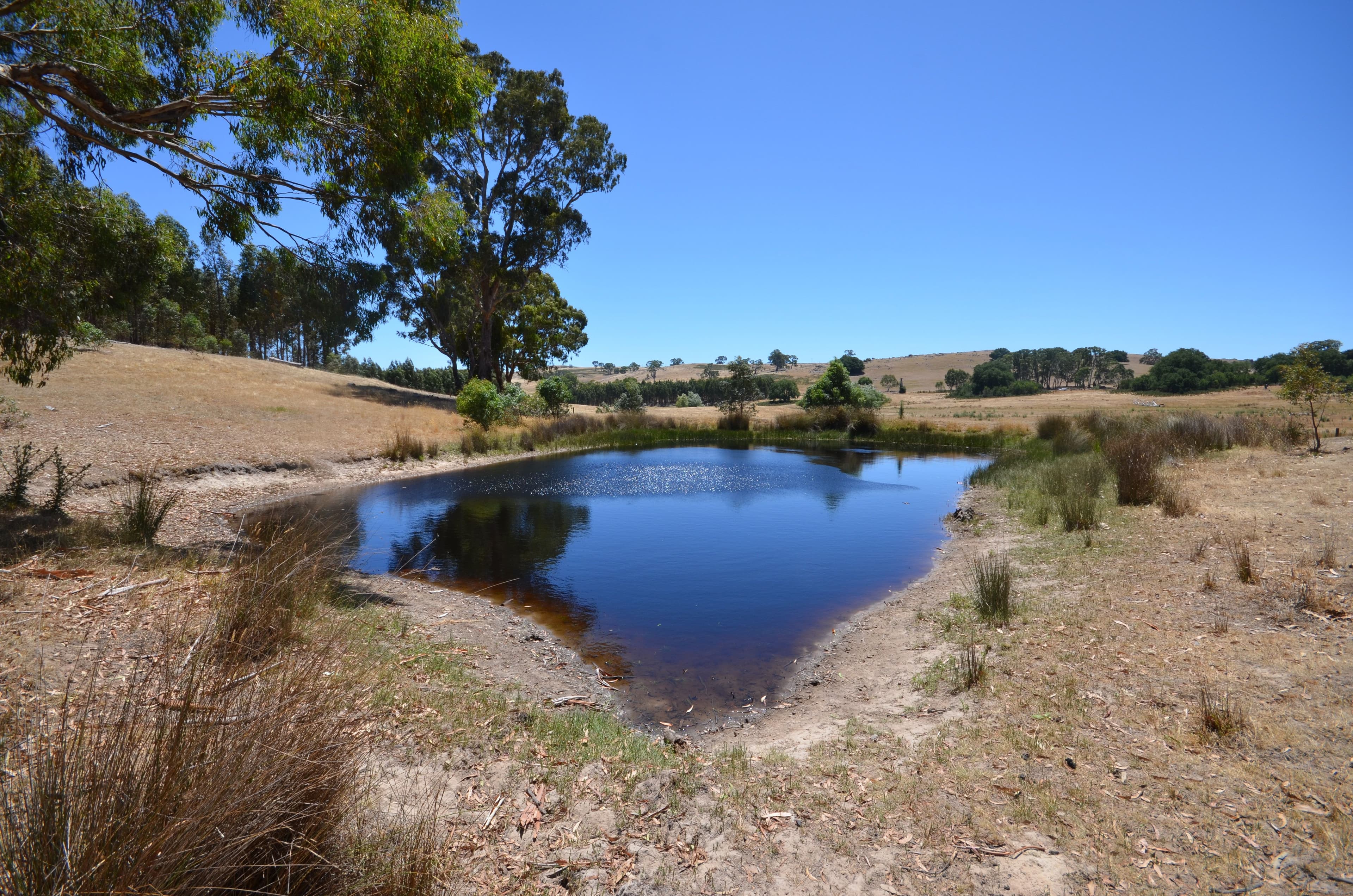 Glenlogie VIC 3469, Glenlogie - Thumbnail 6