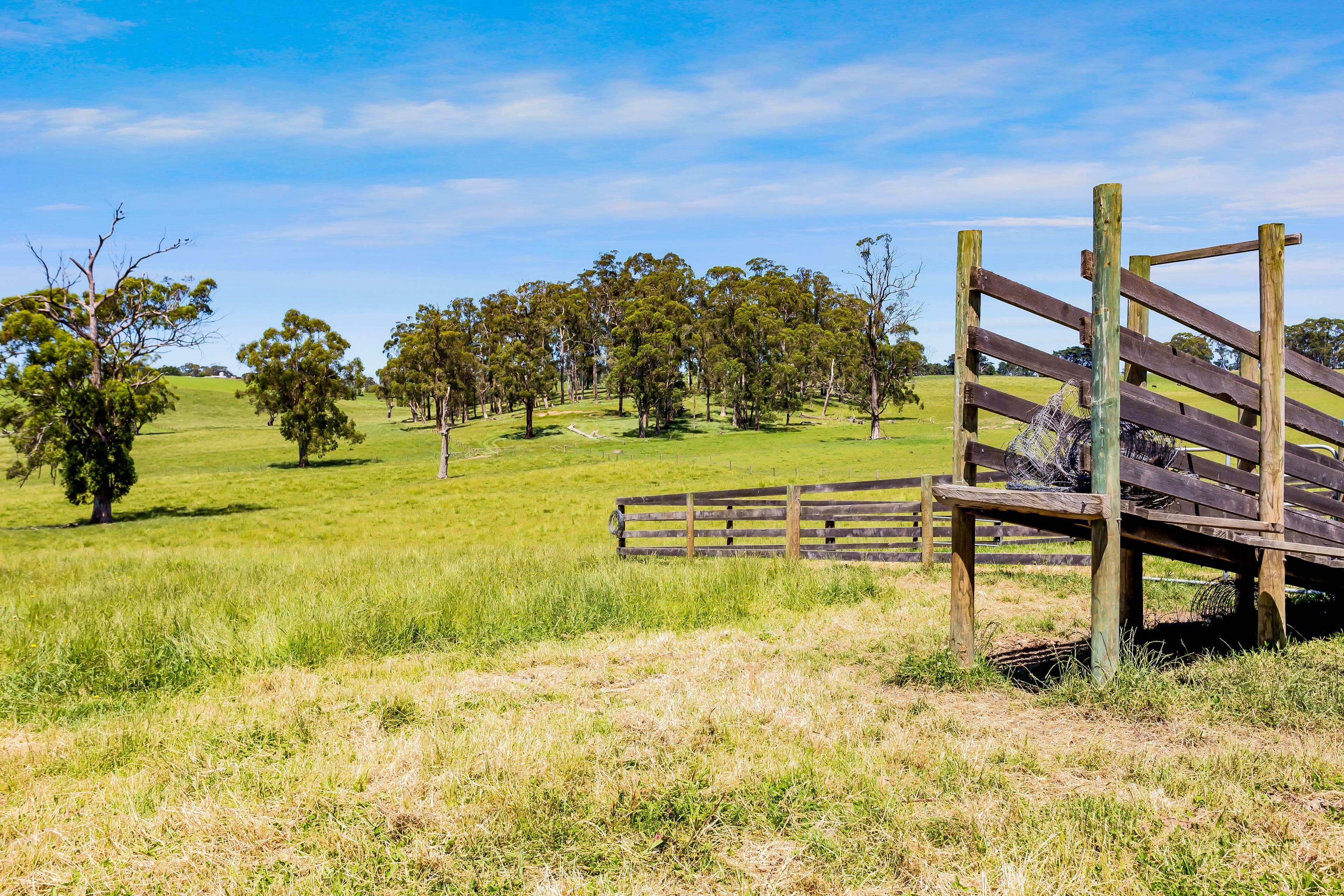 Lot 1 Standfields Road, Poowong North VIC 3988, Poowong North - Thumbnail 3