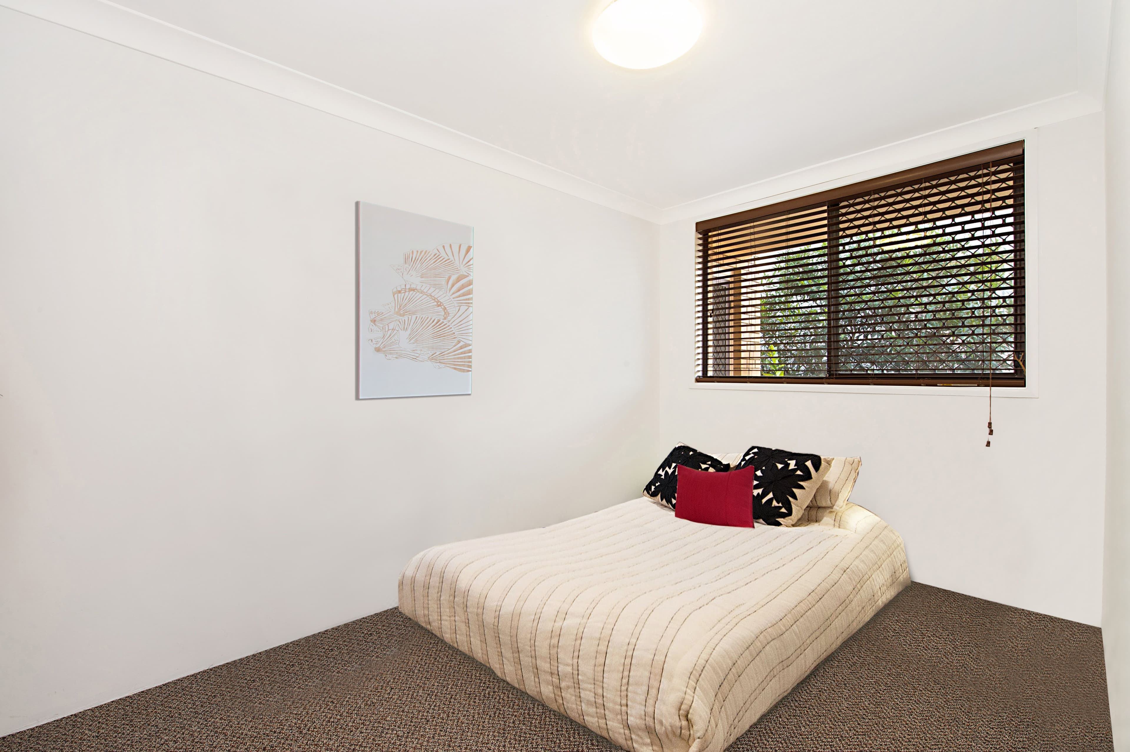 6 Rosewood Avenue, Broadbeach QLD 4218, Broadbeach - Thumbnail 5