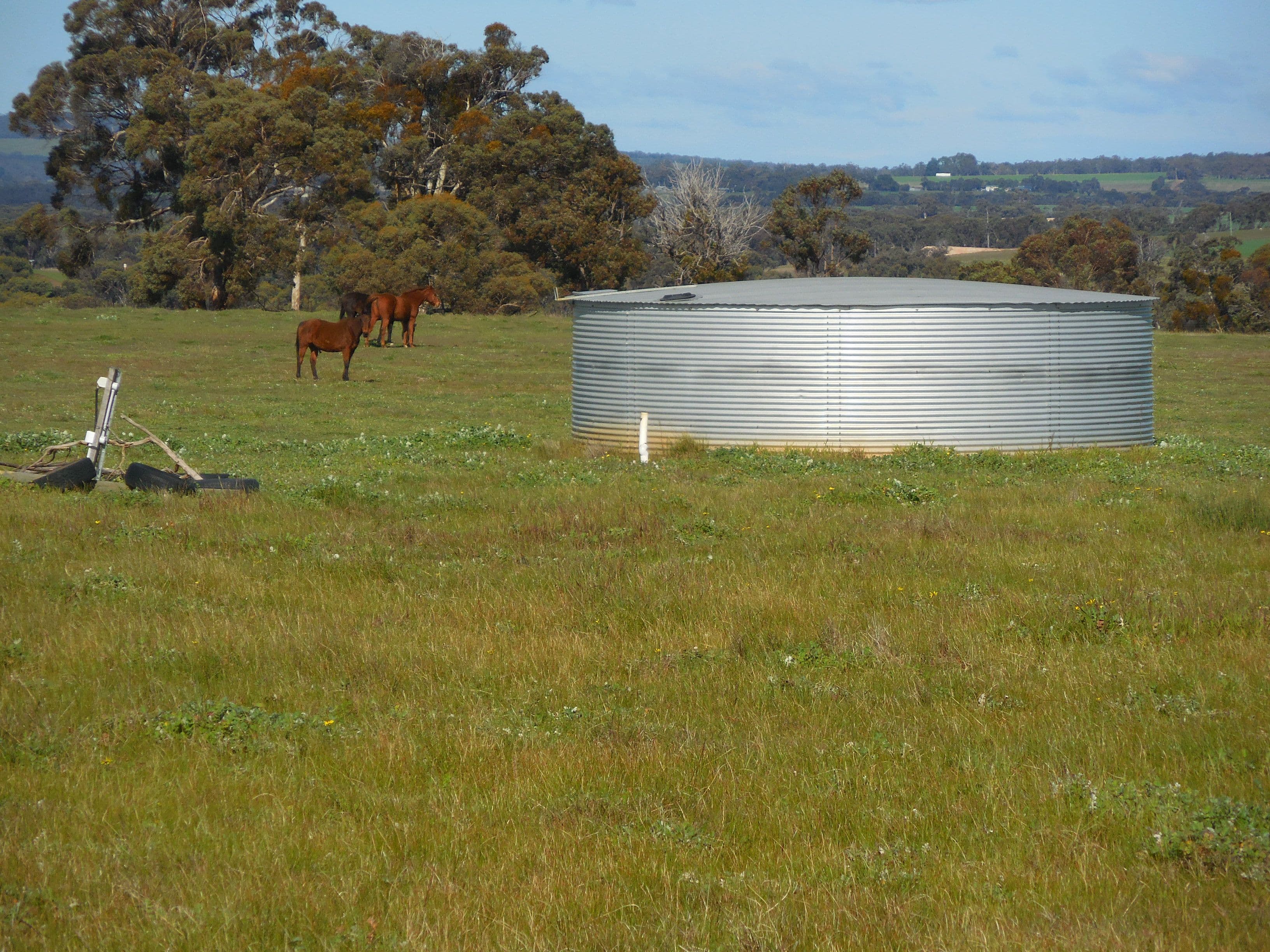 883 Collins Road, Kendenup WA 6323, Kendenup - Thumbnail 3