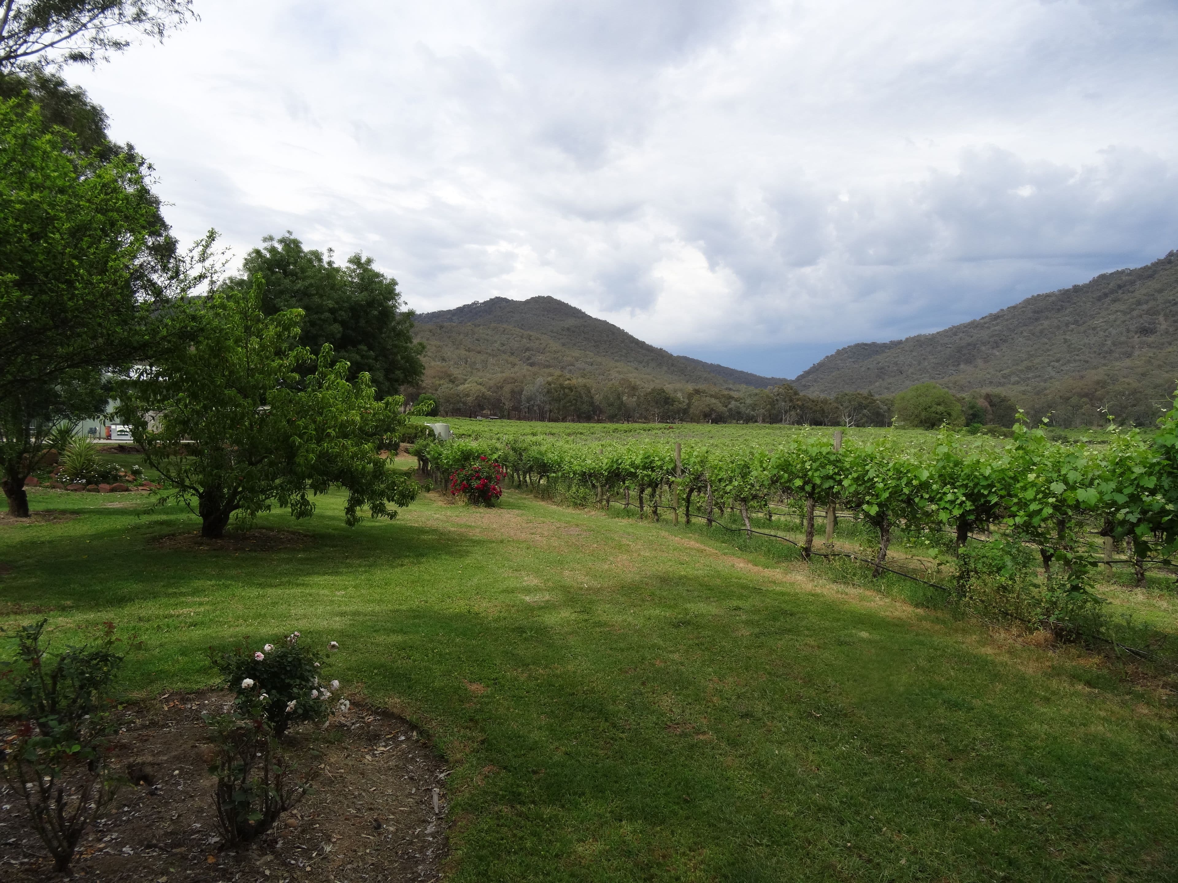 8792 Murray River Road, Walwa VIC 3709, Walwa - Thumbnail 8