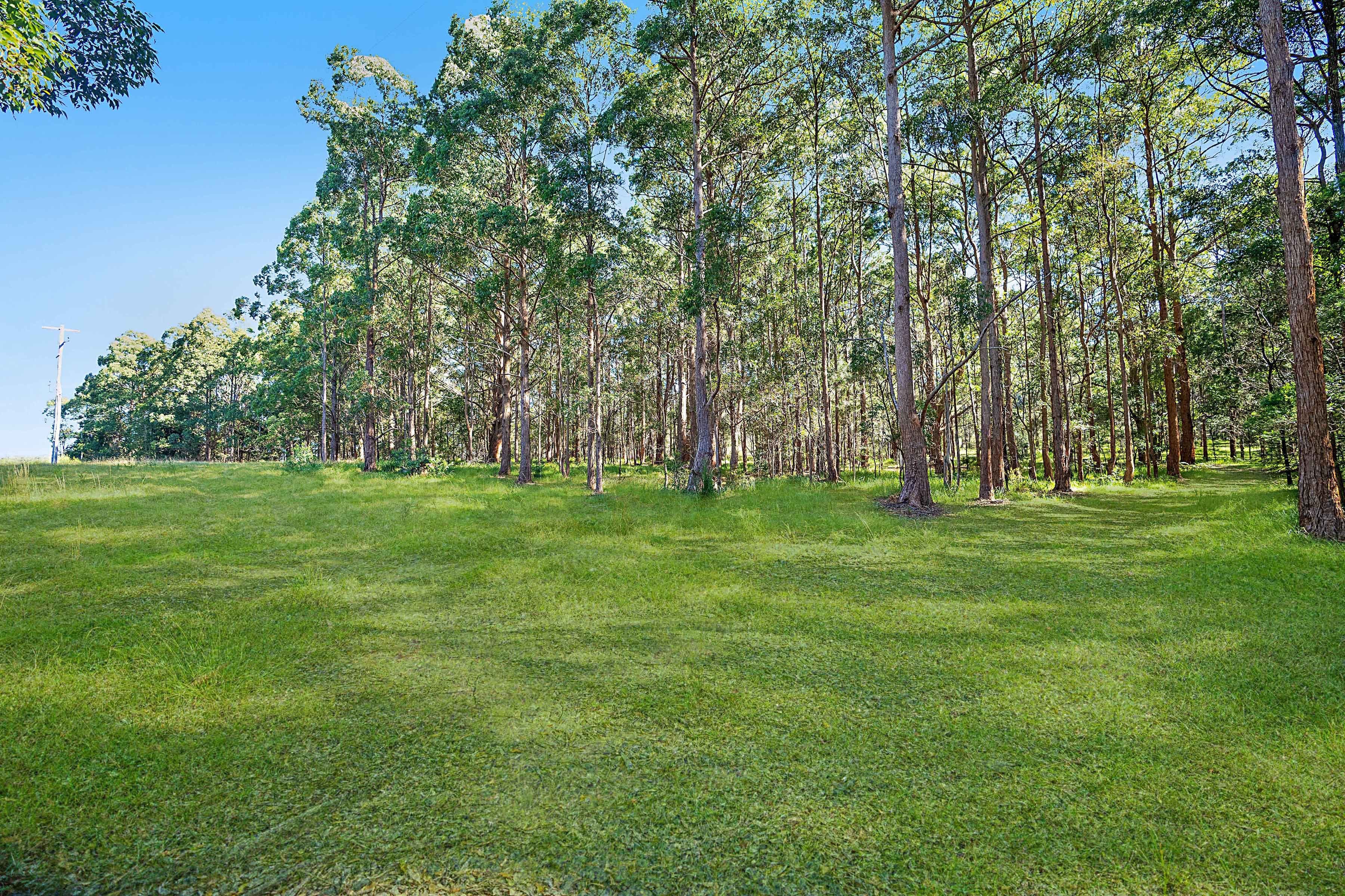 658 Mandalong Road, Mandalong NSW 2264, Mandalong - Thumbnail 3