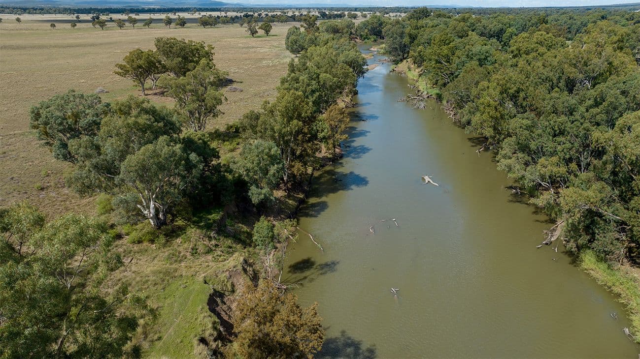208 Old Gunnedah Road, Narrabri NSW 2390, Narrabri - Thumbnail 2
