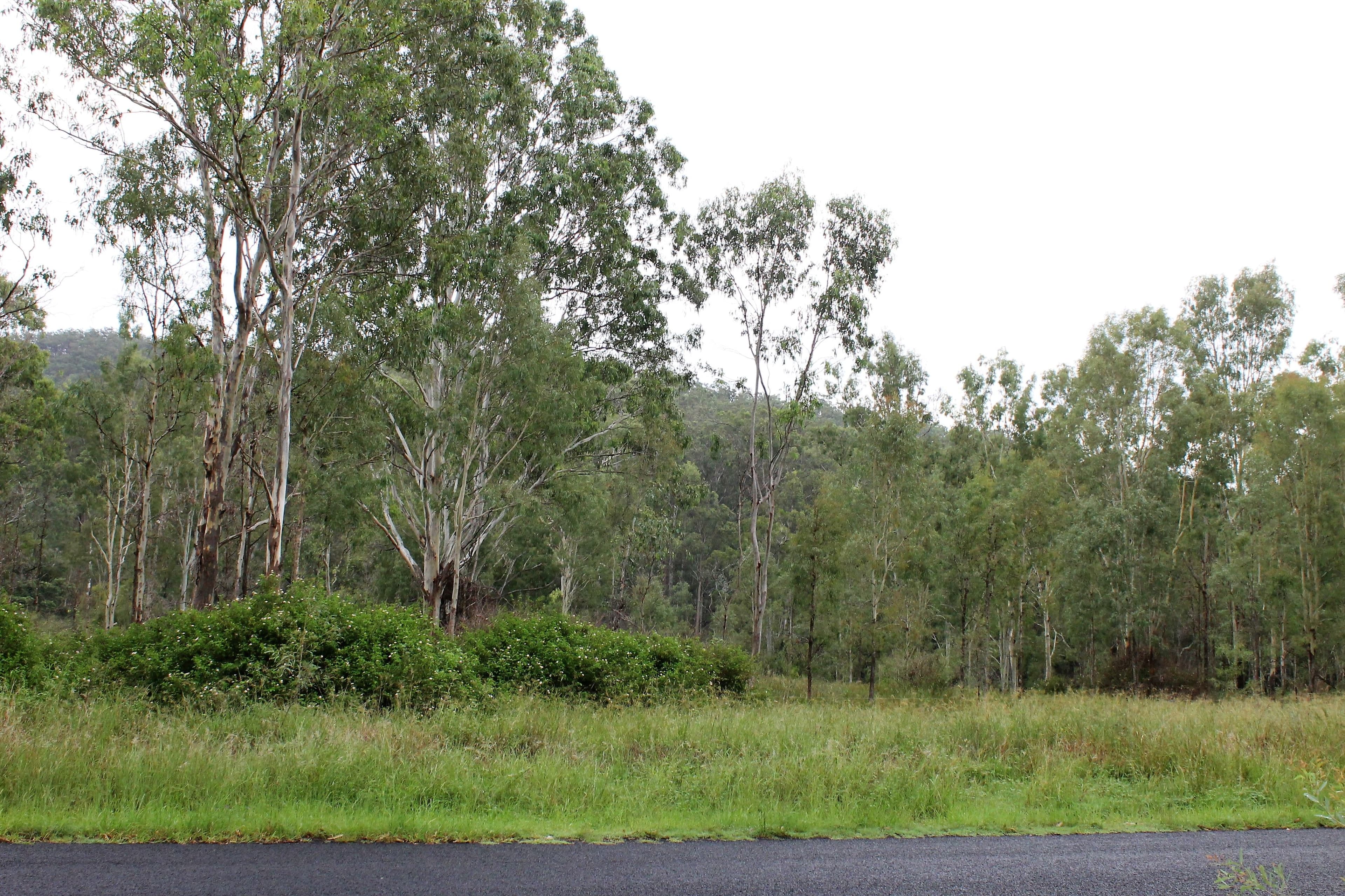 Lot 1 Esk Crows Nest Road, Biarra QLD 4313, Biarra - Image 1