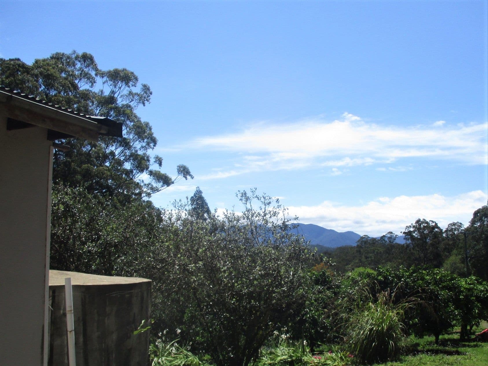 139 Hennesseys Lane, Bellingen NSW 2454, Bellingen - Thumbnail 5