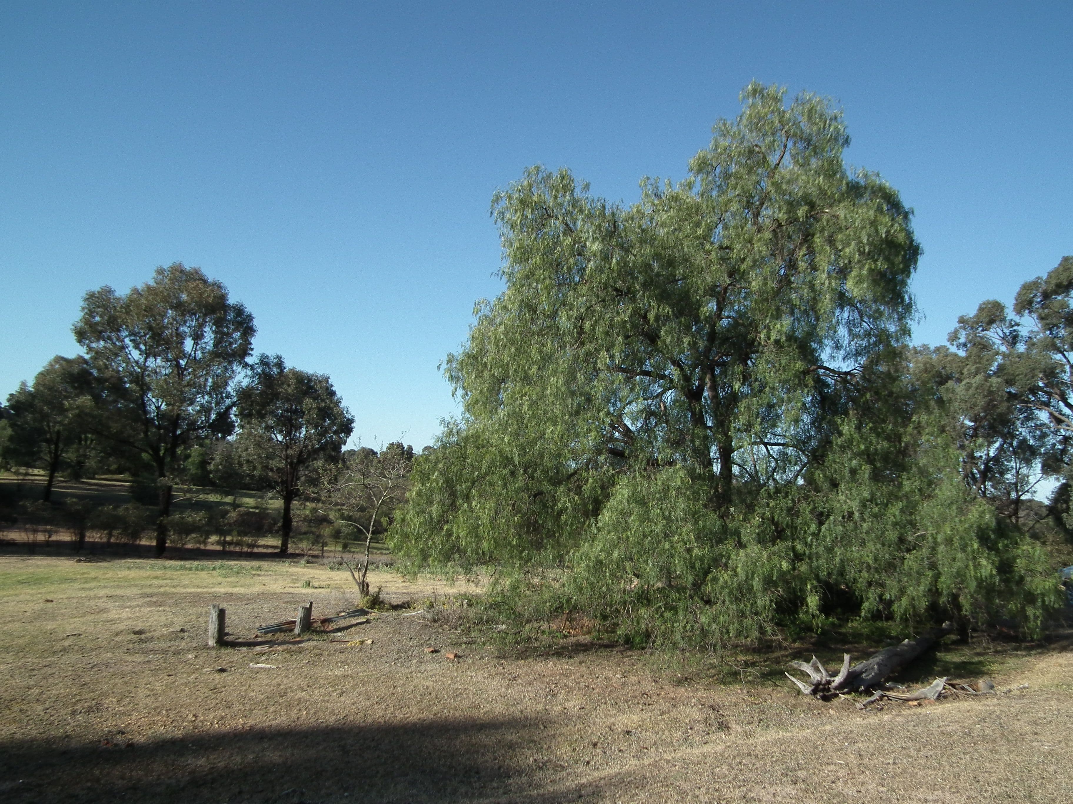 CA 30 Murchison-Whroo Road, Nagambie VIC 3608, Nagambie - Thumbnail 3