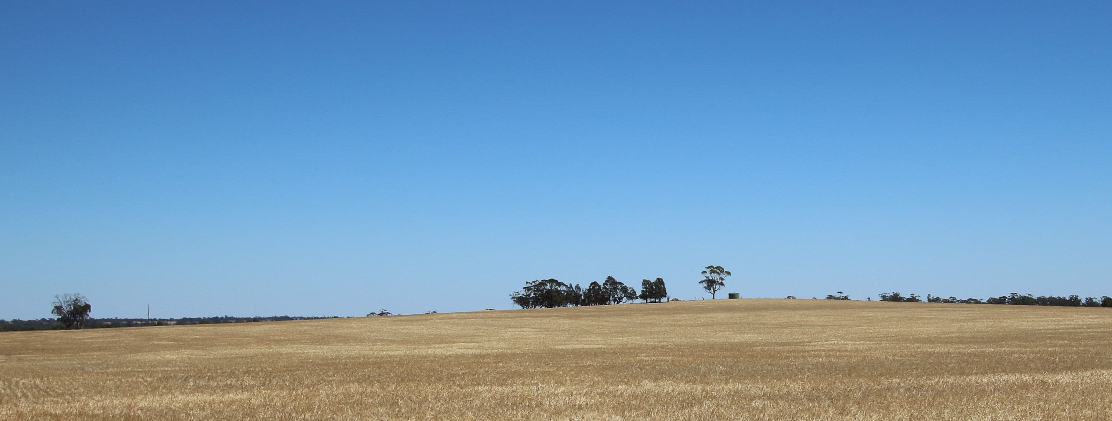 00 Seven Mile Road, Dooboobetic VIC 3478, Dooboobetic - Thumbnail 3