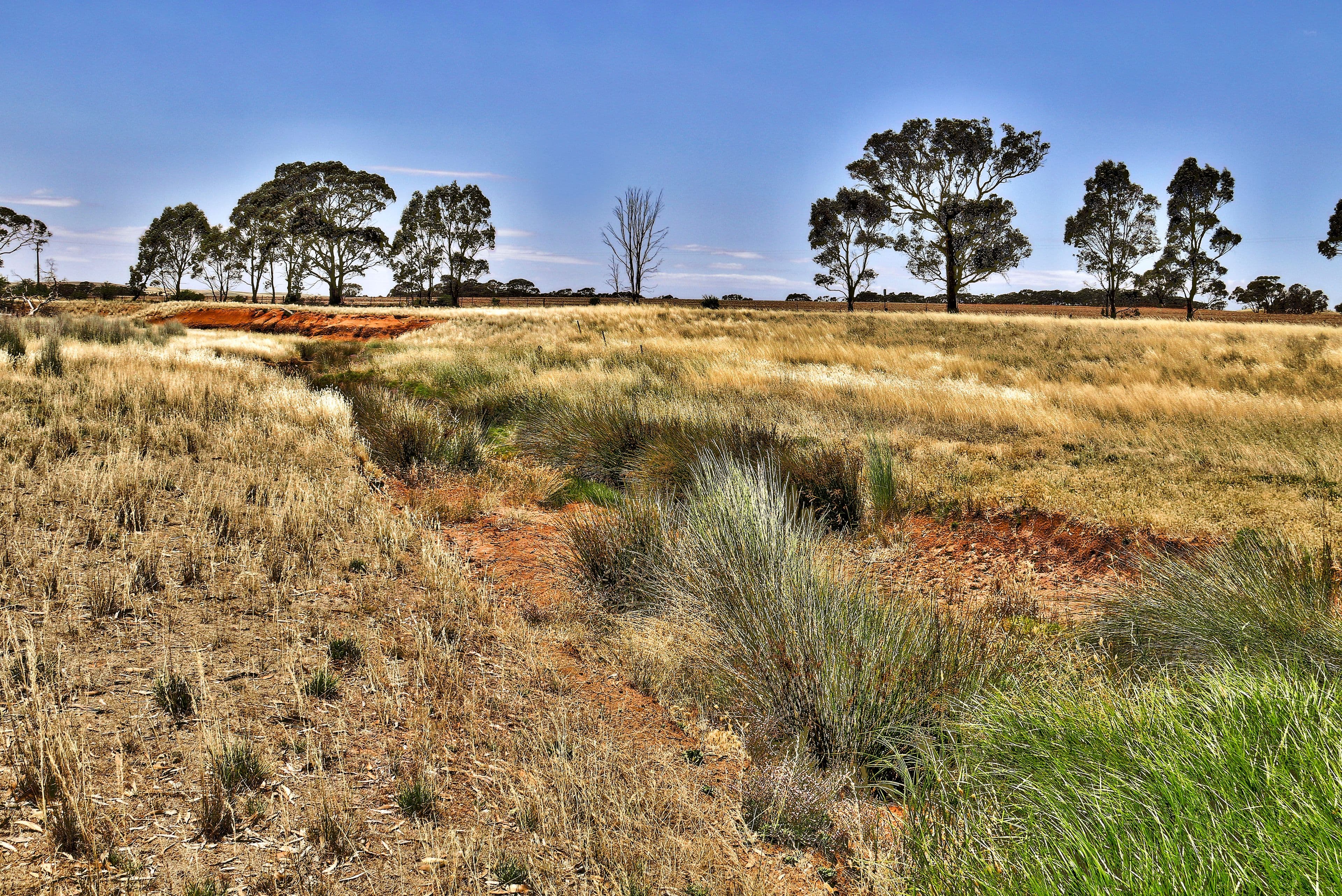 "Tarnma Block" Curio Highway, HAMPDEN SA 5374, Hampden - Thumbnail 4