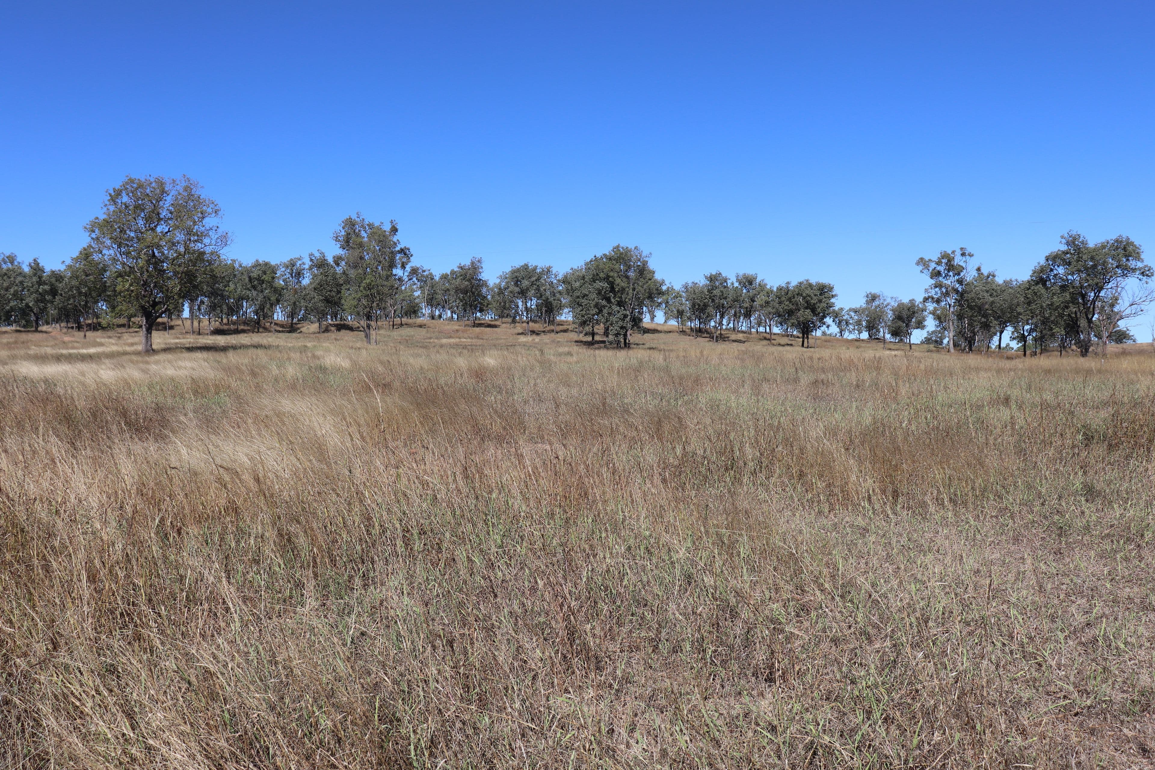 428 Cannindah Road, Monto QLD 4630, Monto - Thumbnail 3