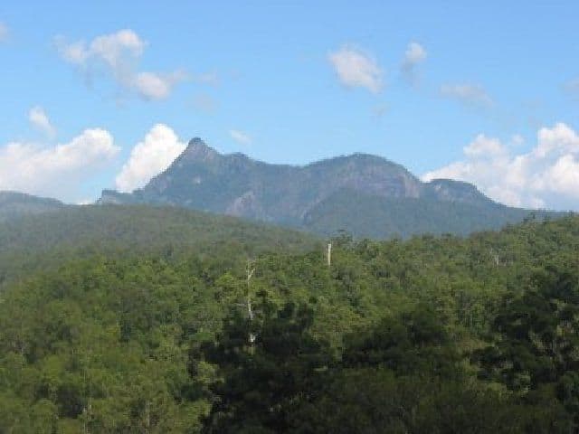 54 Bald Mountain Road, Limpinwood NSW 2484, Limpinwood - Thumbnail 4
