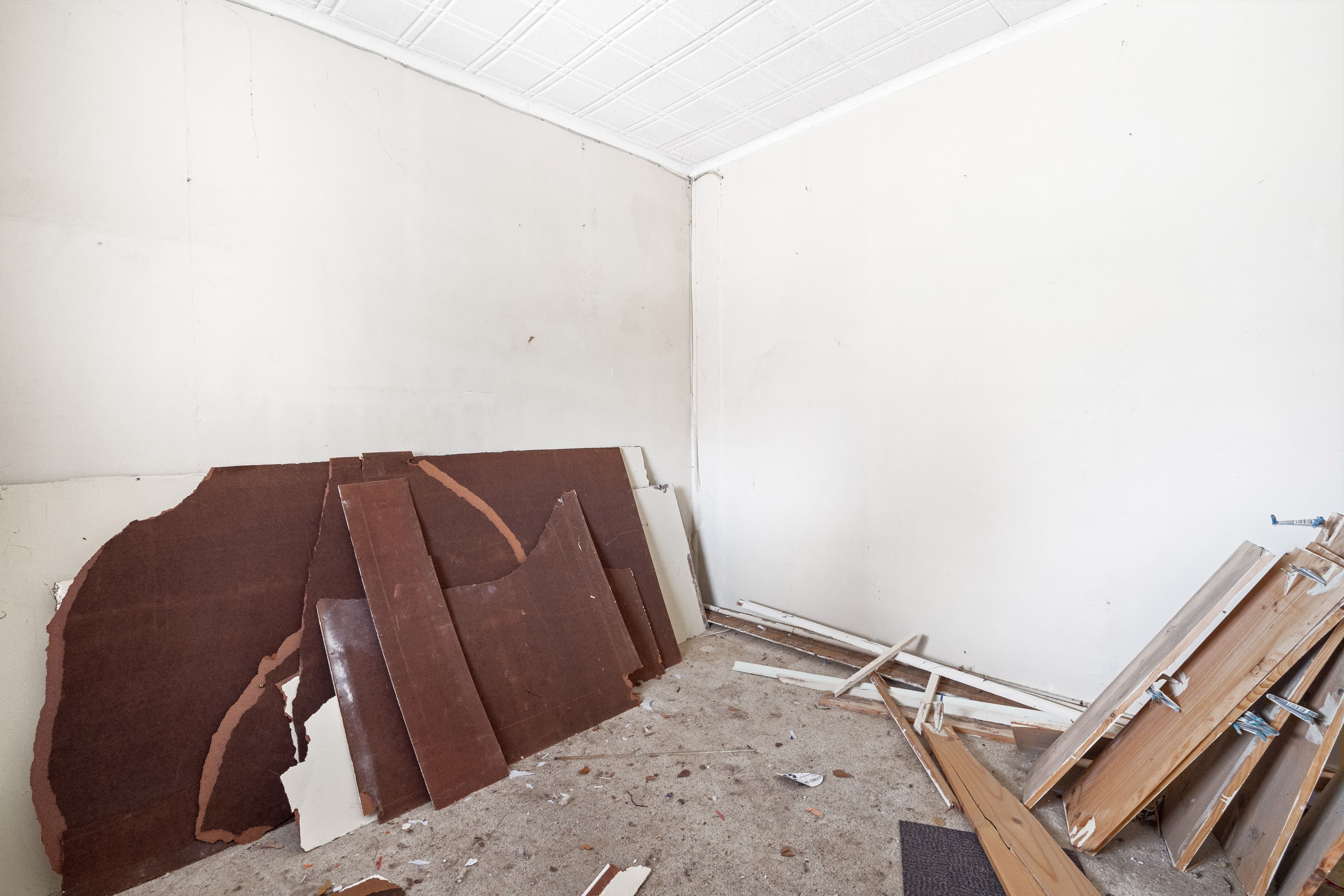 12 Castle Street, Glanville SA 5015, Glanville - Thumbnail 4