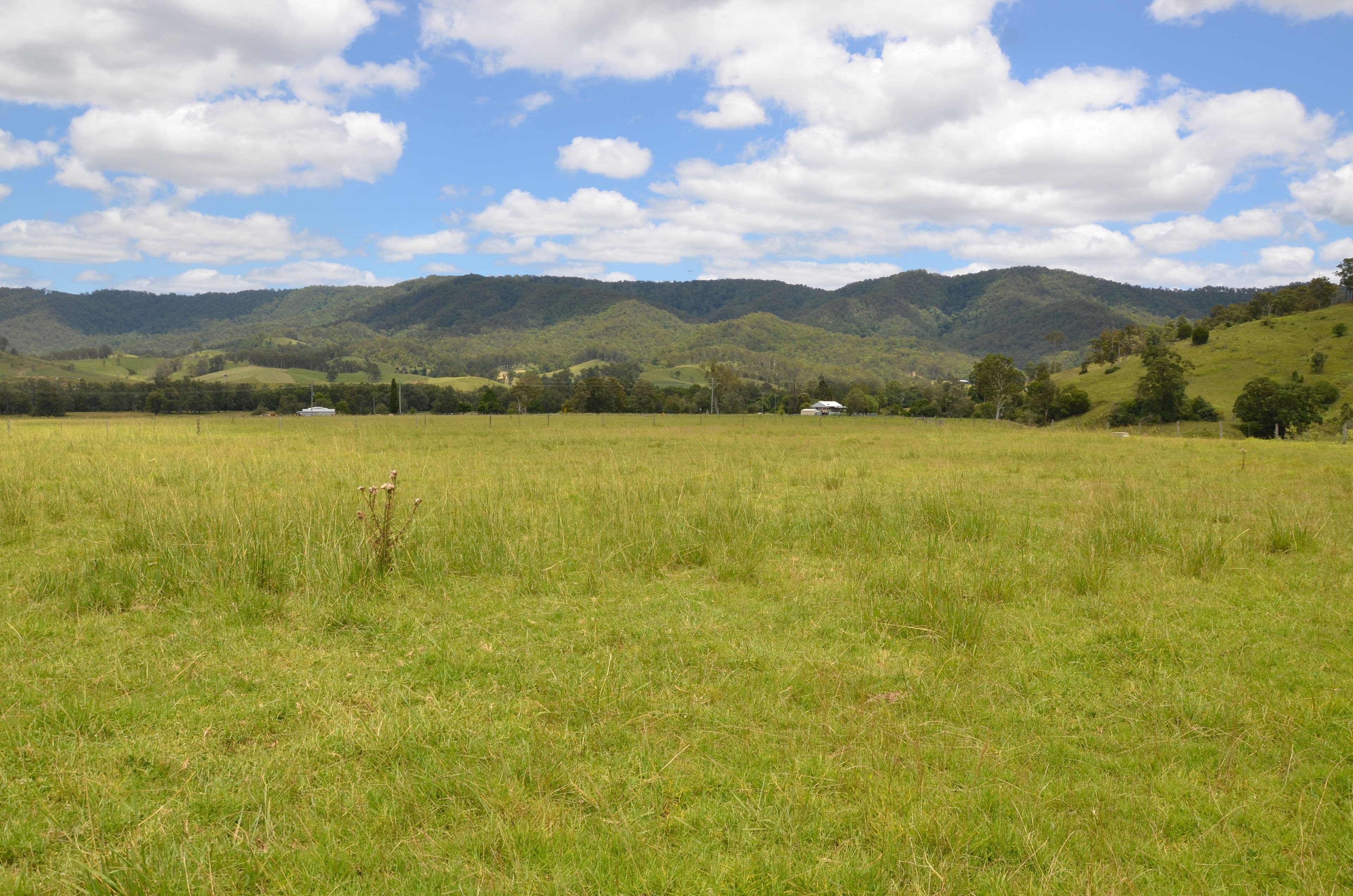 Lot 15 Aherns Road, Conondale QLD 4552, Conondale - Thumbnail 5