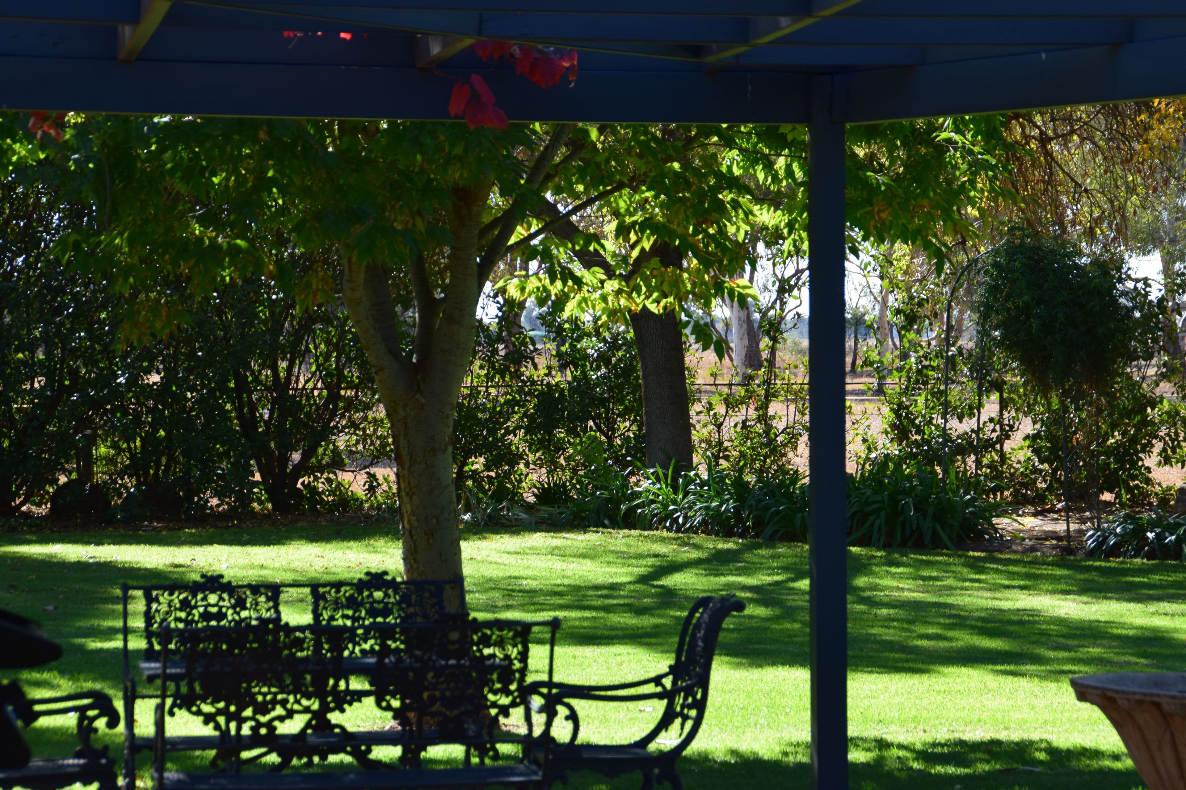 'Willow Tree' 14L Dulcidene Road, Dubbo NSW 2830, Dubbo - Thumbnail 3