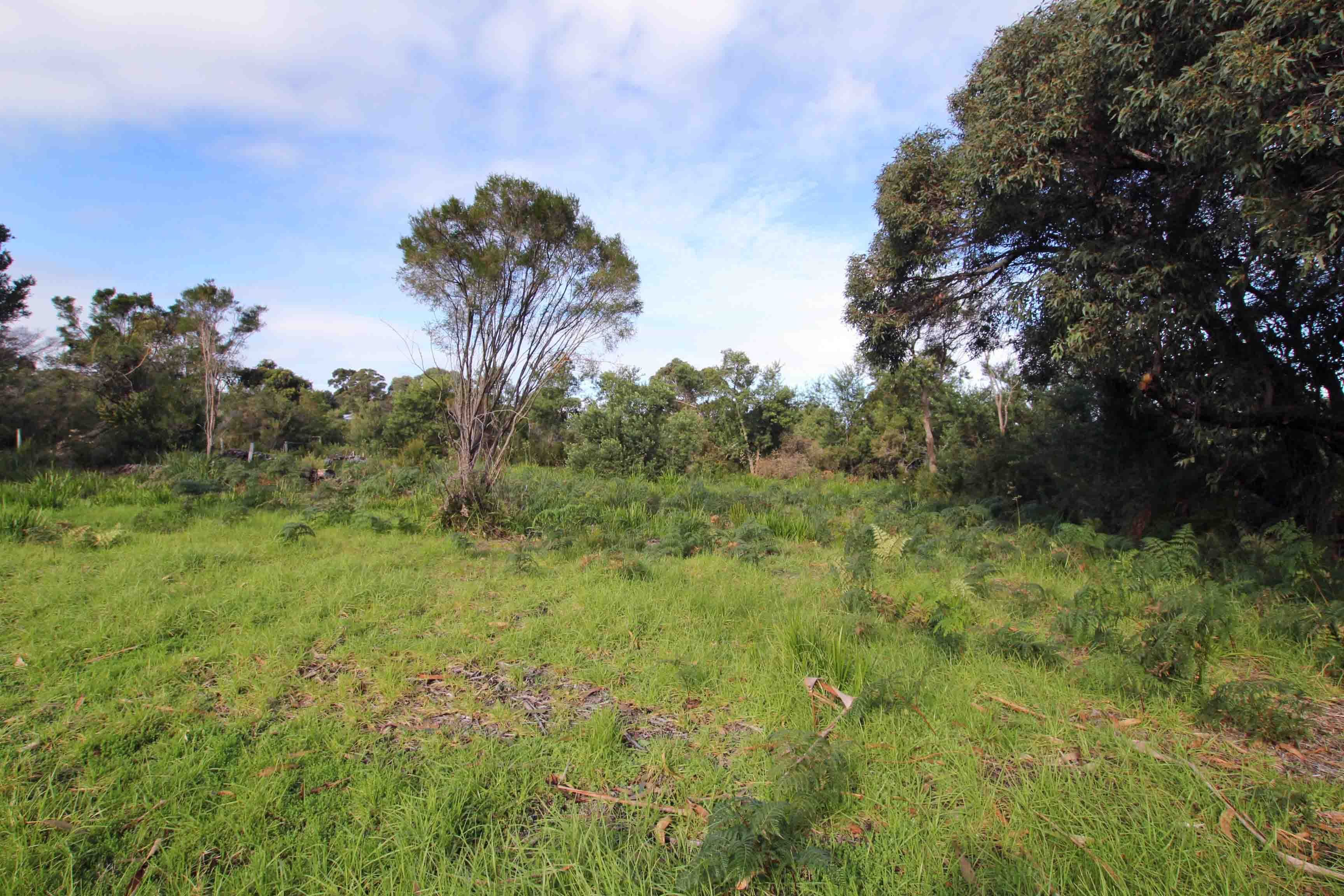 559 Ocean Beach Road, Denmark WA 6333, Denmark - Thumbnail 5