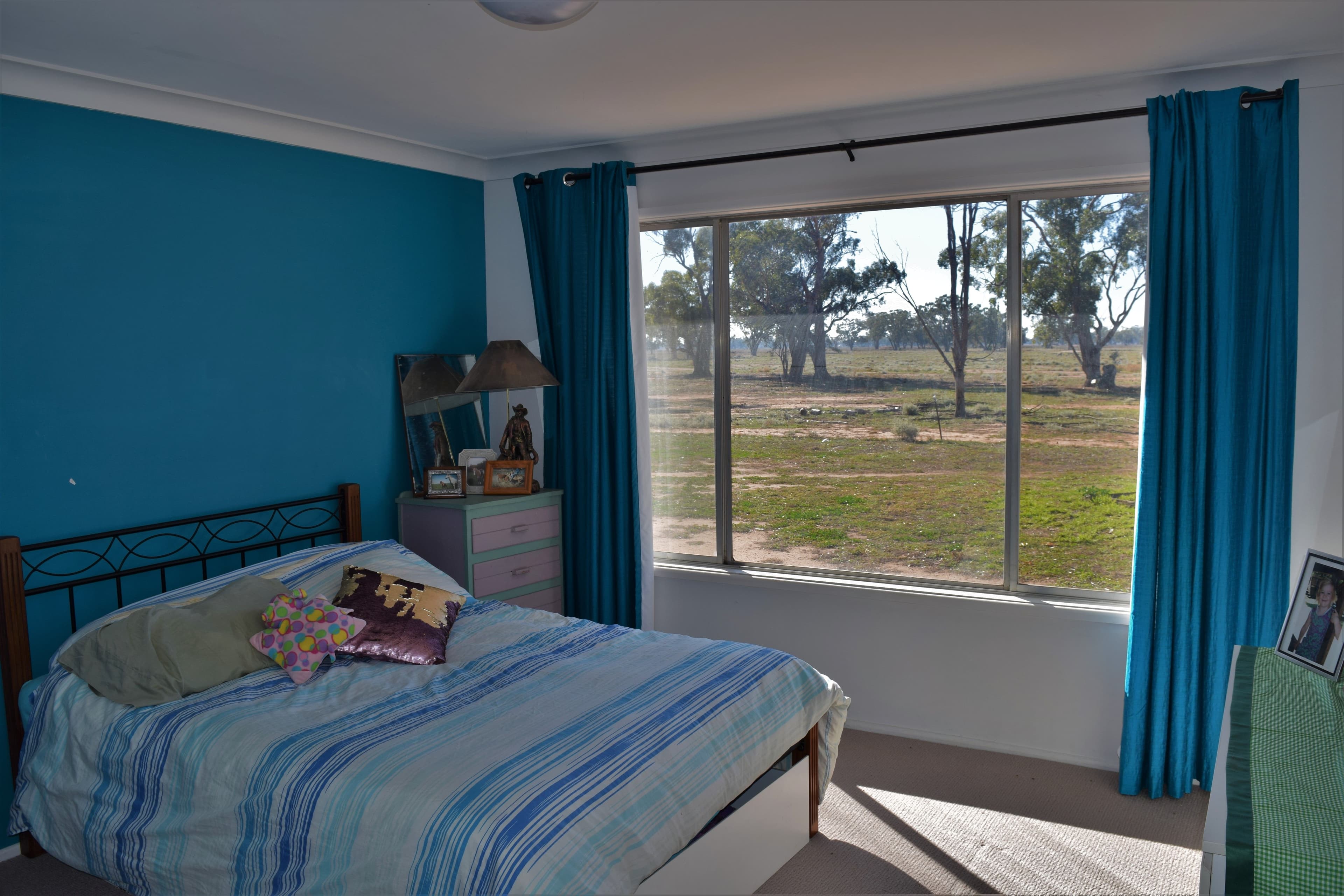 45 North Condobolin Road, Forbes NSW 2871, Forbes - Thumbnail 5