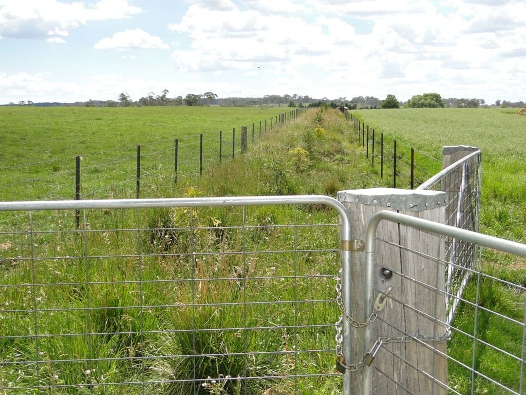 Hilltop Worra Street, GUYRA NSW 2365, Guyra - Thumbnail 2