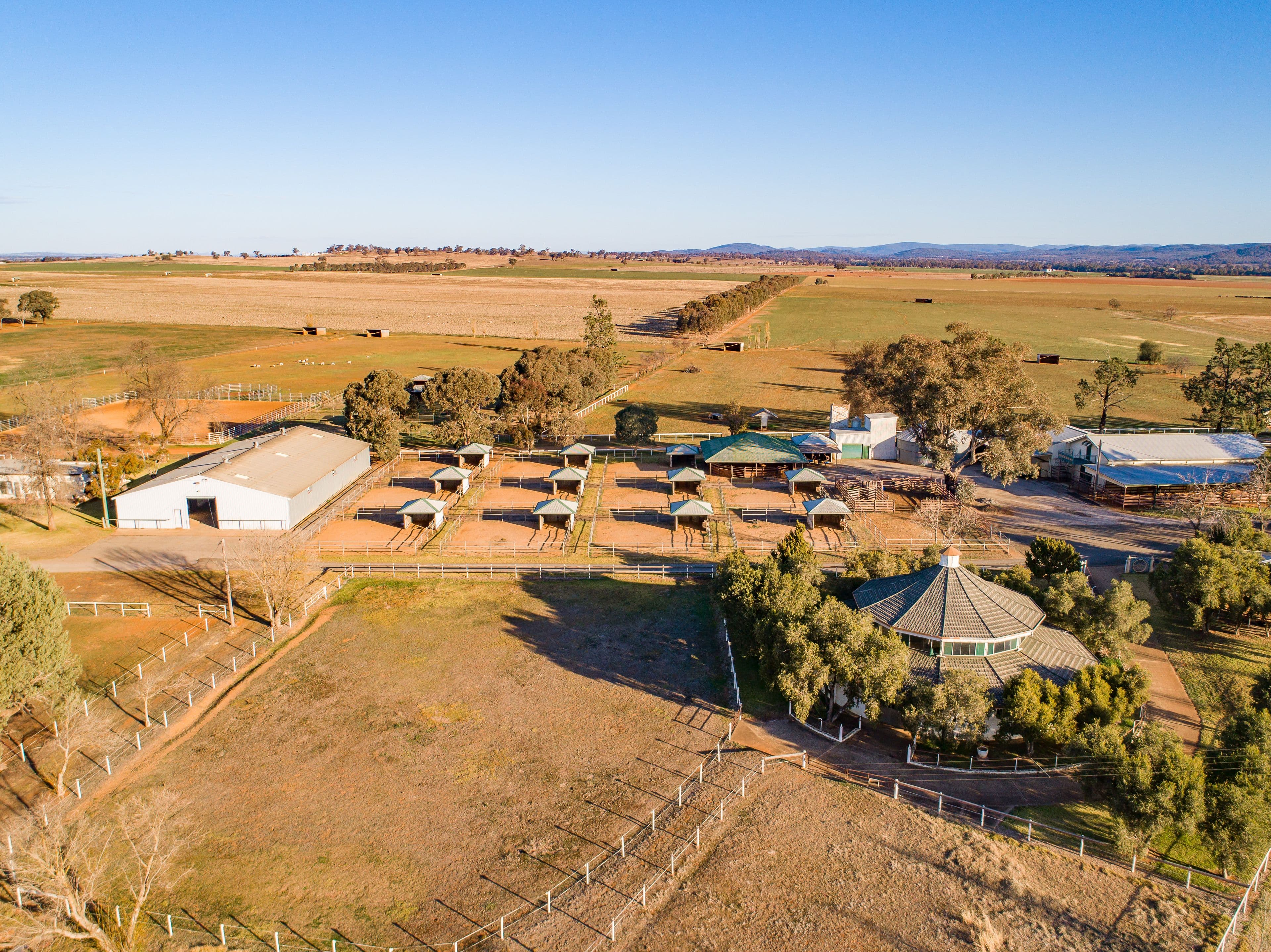 1203 Rivers Road, Canowindra NSW 2804, Canowindra - Thumbnail 3