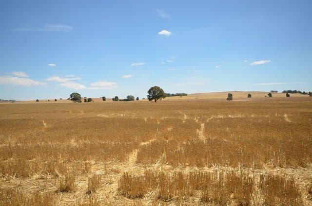 "Bills" Farrell Flat Road, Farrell Flat SA 5416, Farrell Flat - Thumbnail 6