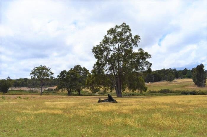 Nannup WA 6275, Nannup - Thumbnail 5