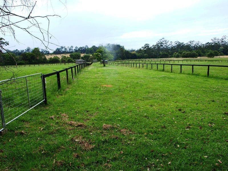 22 Gumnut Road, Herons Creek NSW 2443, Herons Creek - Thumbnail 4