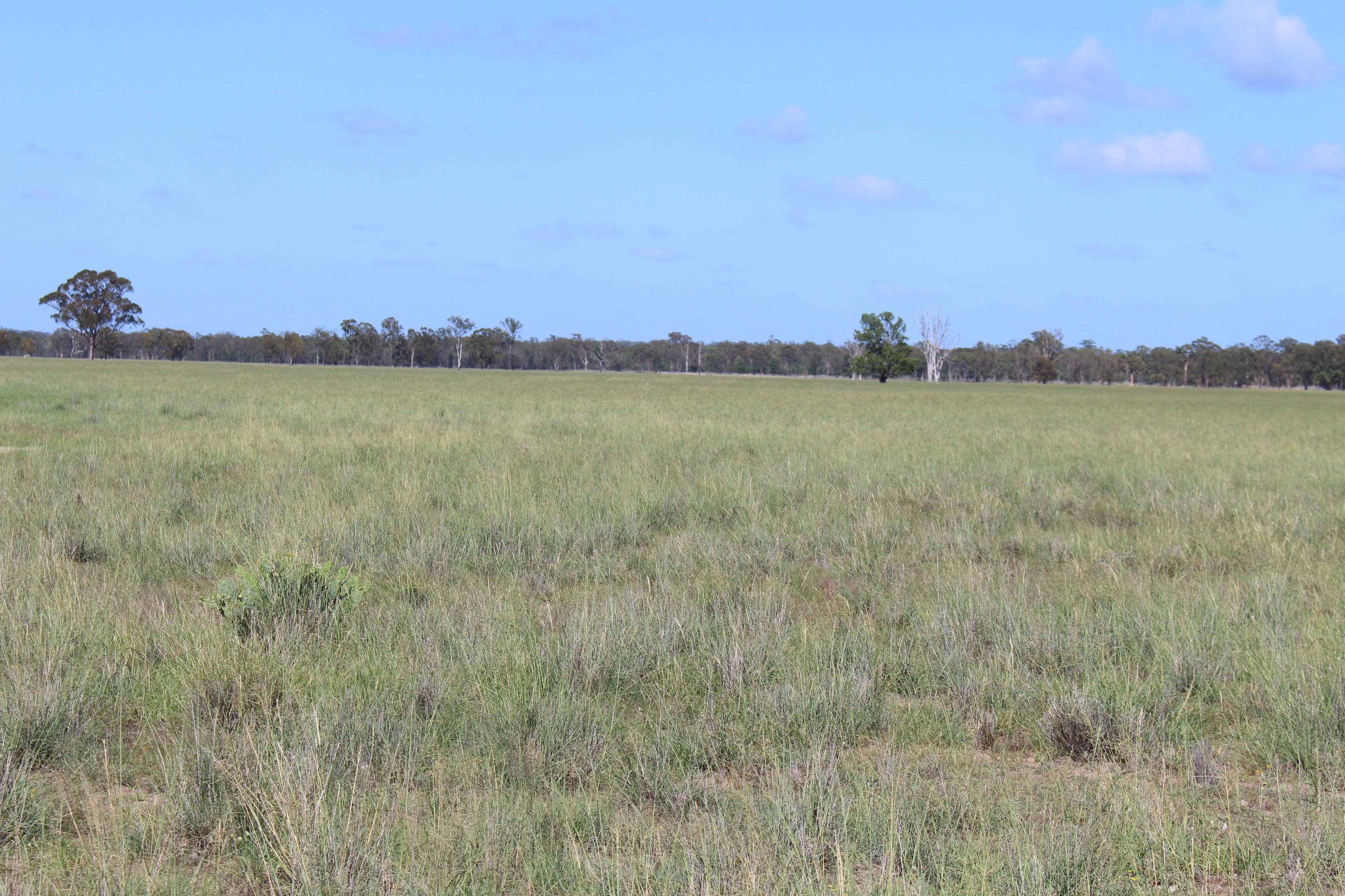 2811 Lockwood Rd, Kurrowah, Millmerran QLD 4357, Millmerran - Thumbnail 7