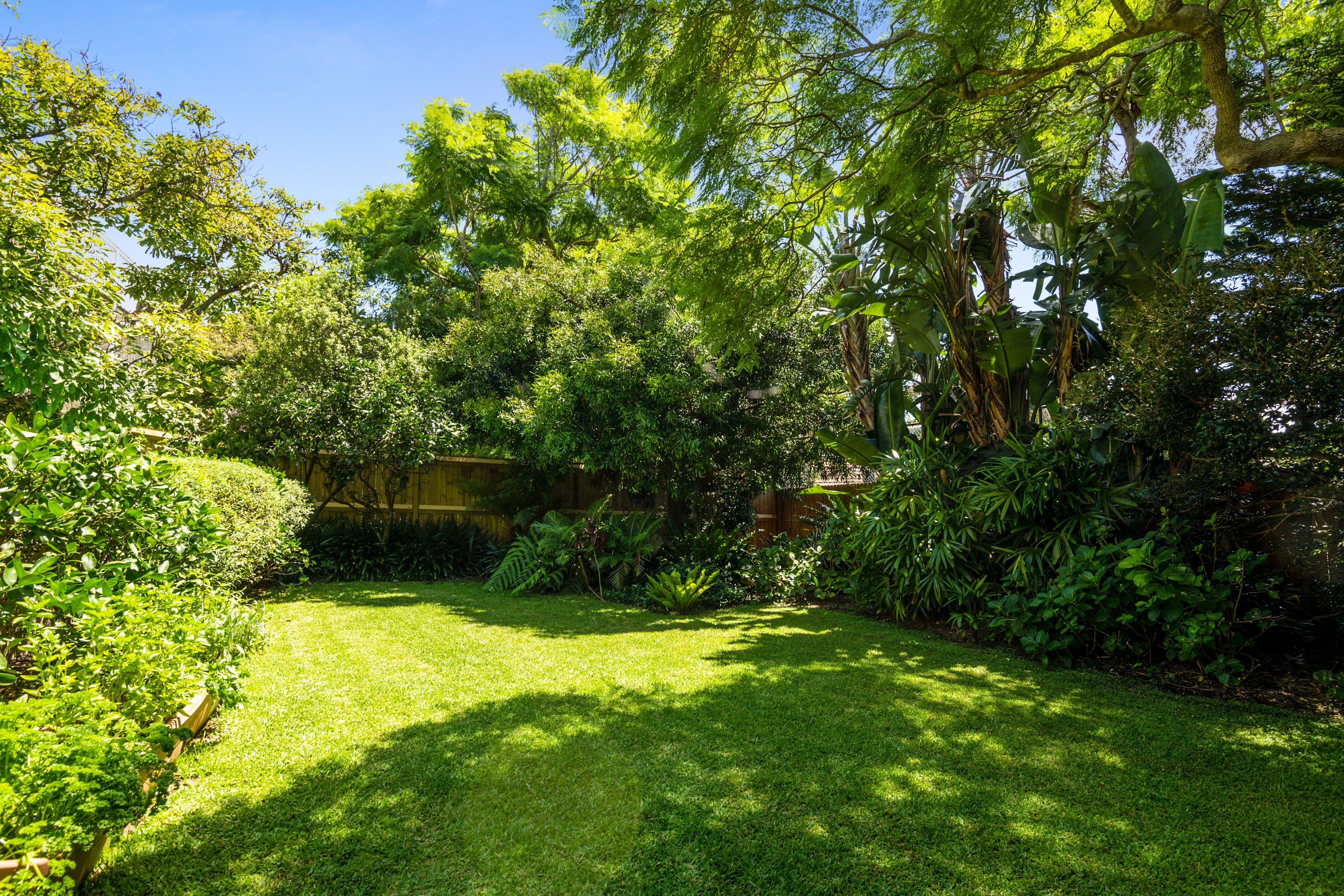 5 Central Avenue, Mosman NSW 2088, Mosman - Thumbnail 3