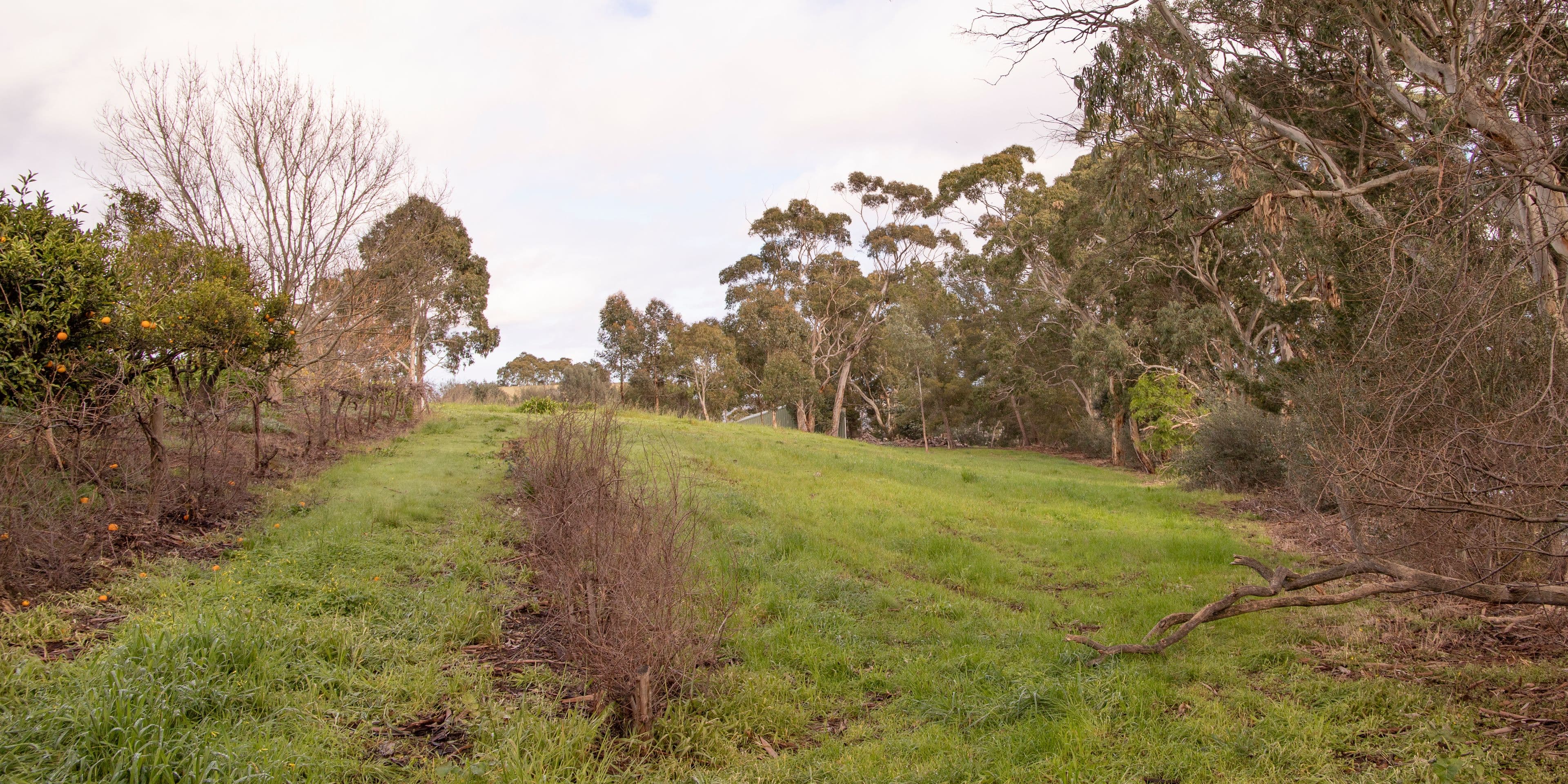 Lot 4, 240A Chandlers Hill Road, Happy Valley SA 5159, Happy Valley - Thumbnail 8
