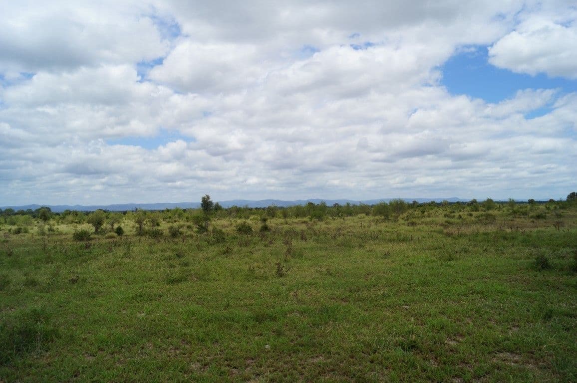 2 Styx Road, Ogmore QLD 4706, Ogmore - Thumbnail 3
