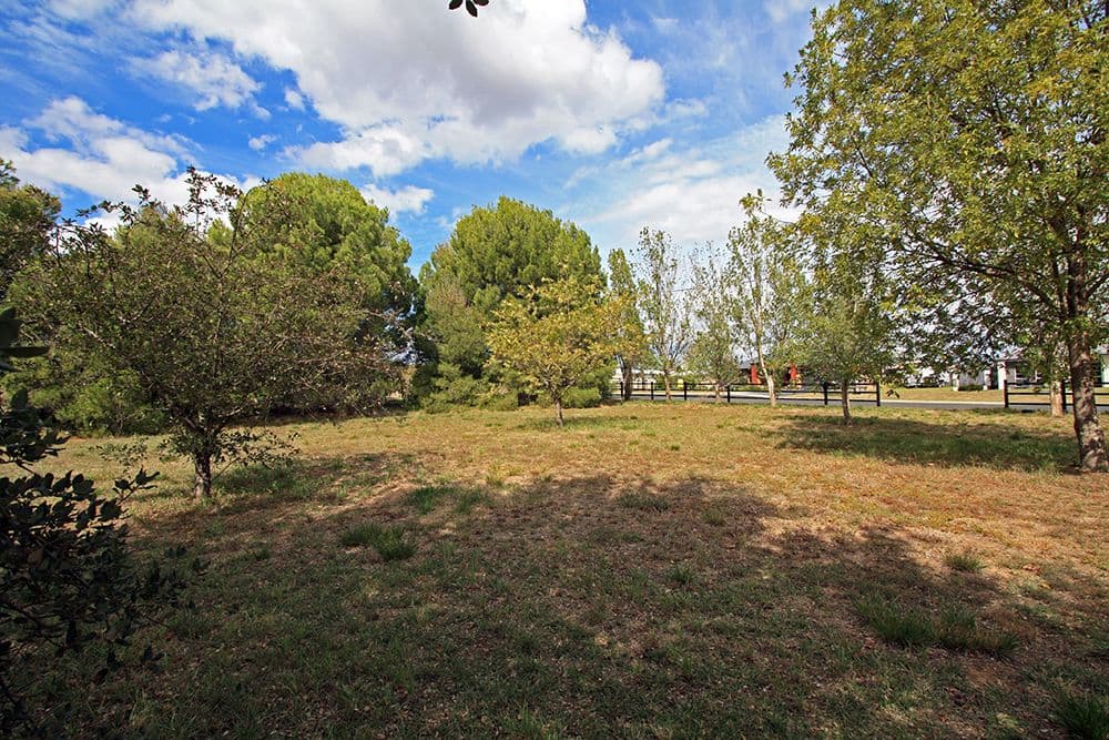 85 Trucking Yard Lane, Bungendore NSW 2621, Bungendore - Thumbnail 6