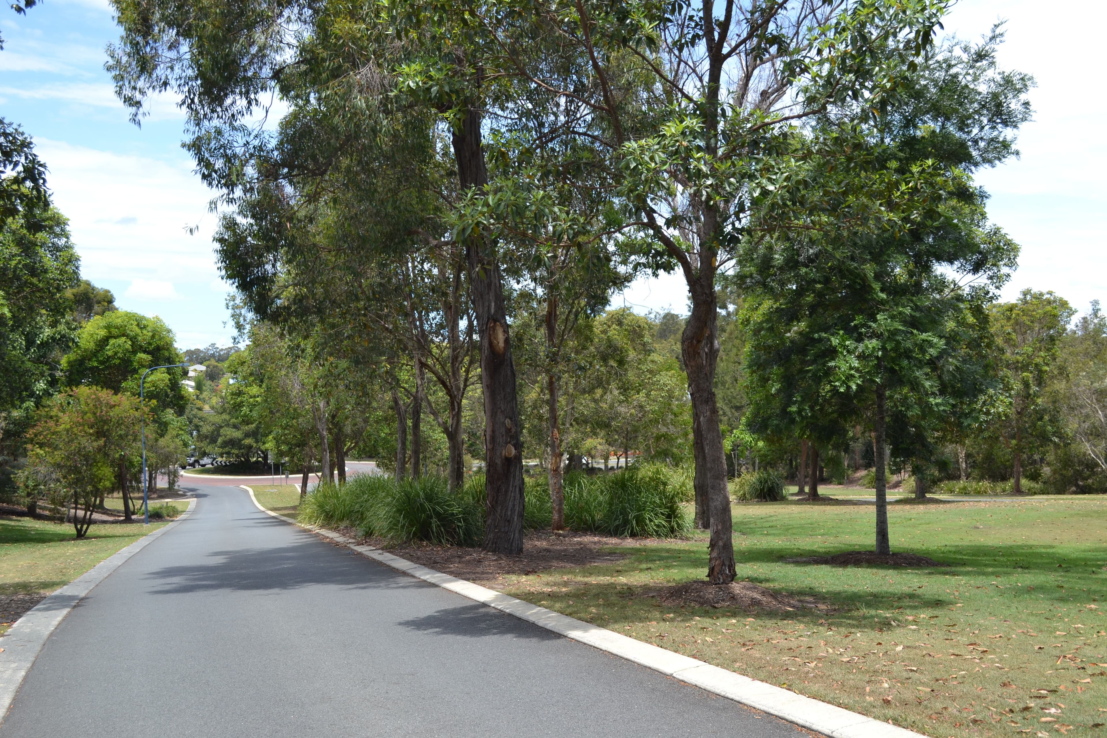 7 Bobsled Lane, Coomera Waters QLD 4209, Coomera - Thumbnail 3
