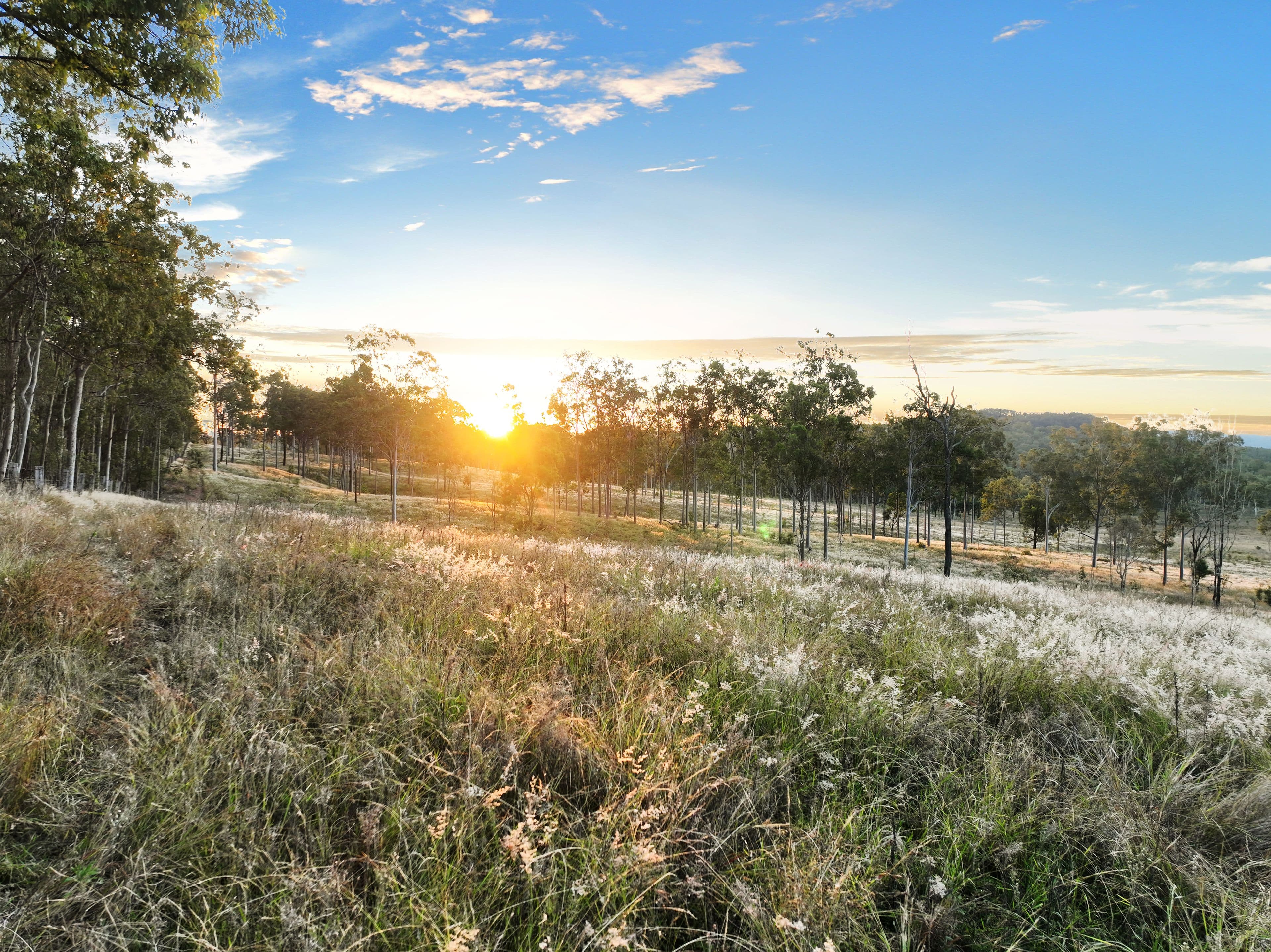 Lot 1 Brisbane Valley Highway, Moombra QLD 4312, Moombra - Thumbnail 4