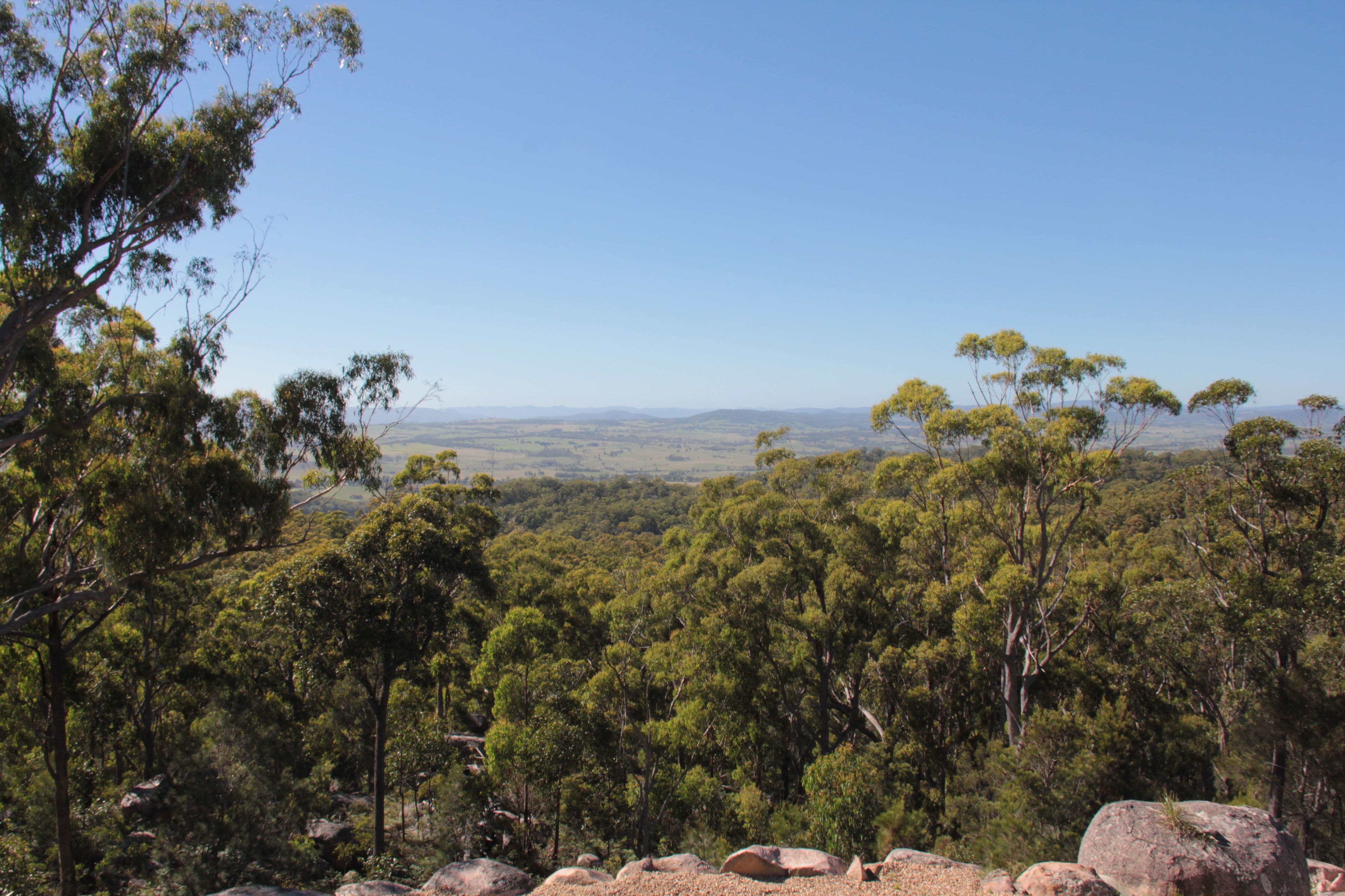 Boulder Lodge 1404 Mount Lindesay Road, Tenterfield NSW 2372, Tenterfield - Thumbnail 7