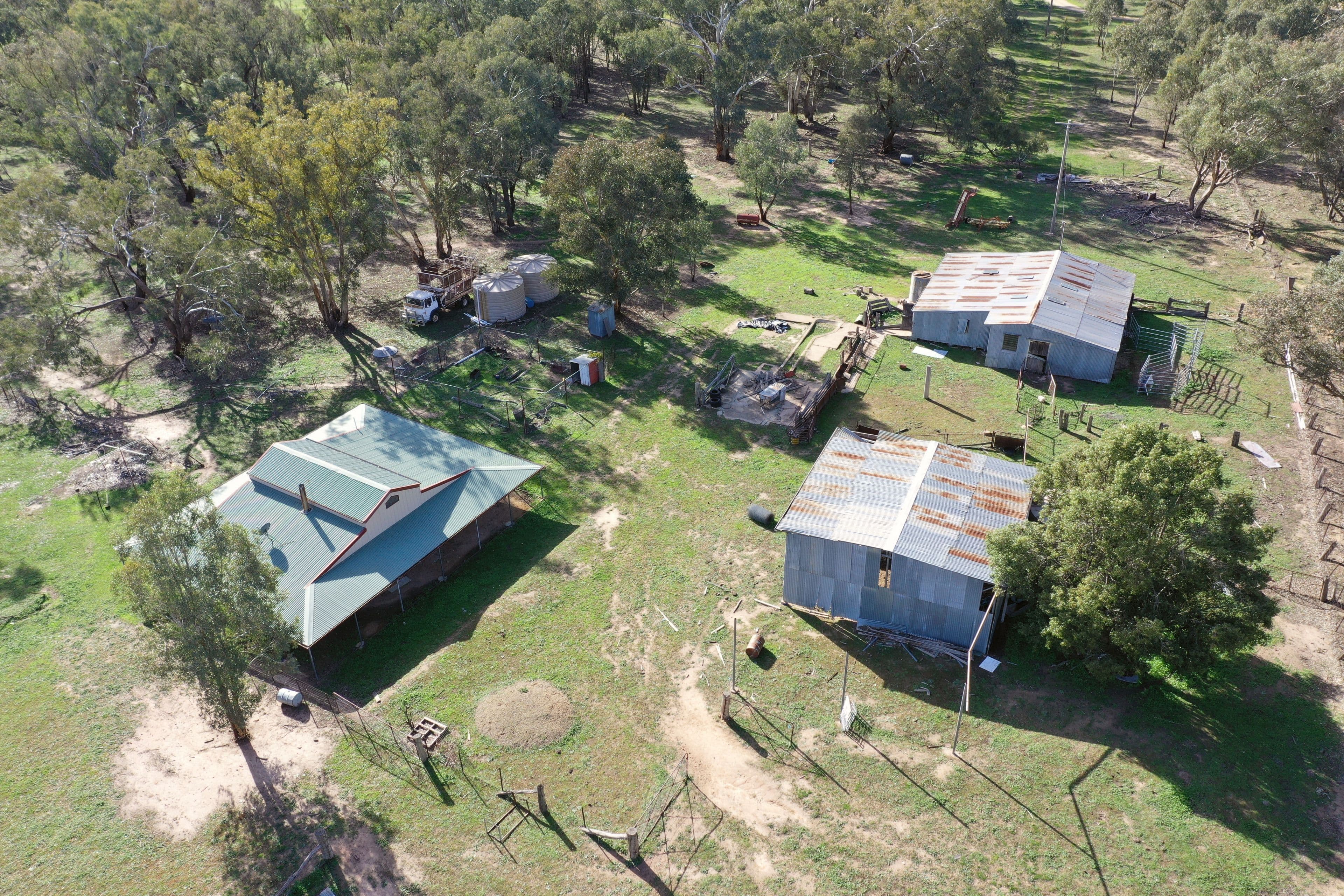 51 Sads Lane, Young NSW 2594, Young - Thumbnail 5