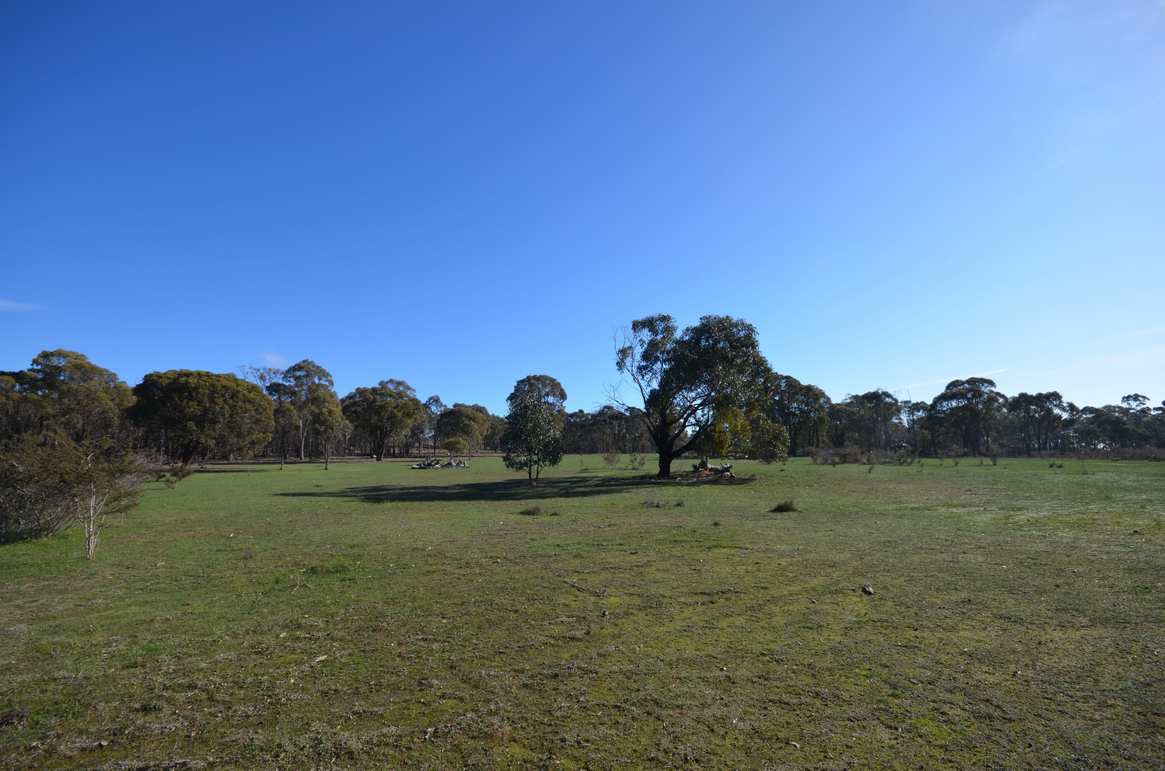 Lots 1 & 2 Lillicur West Road, Lamplough VIC 3352, Lamplough - Thumbnail 7
