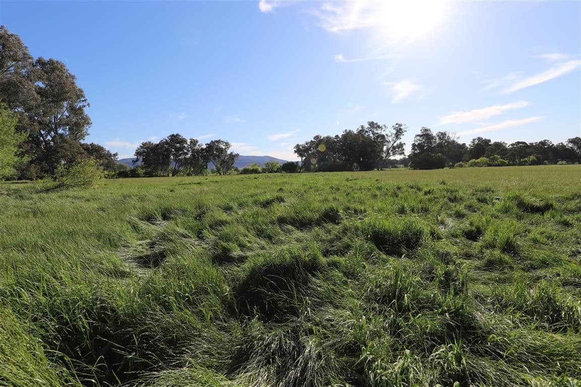 "San Quentin" Lacmalac Road, Tumut NSW 2720, Tumut - Thumbnail 2
