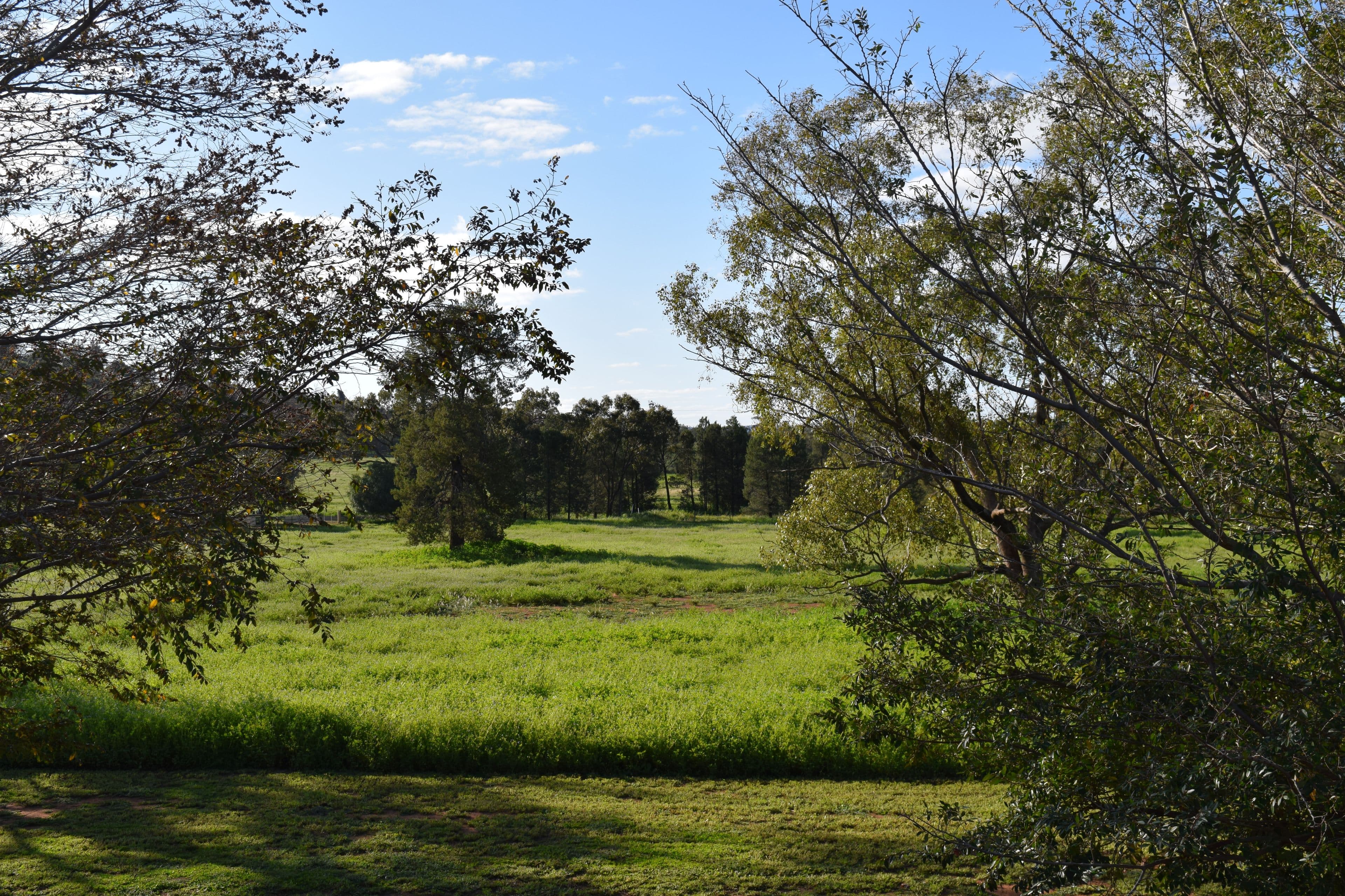 878 Mount Tallabung Road, Wirrinya NSW 2871, Wirrinya - Thumbnail 8