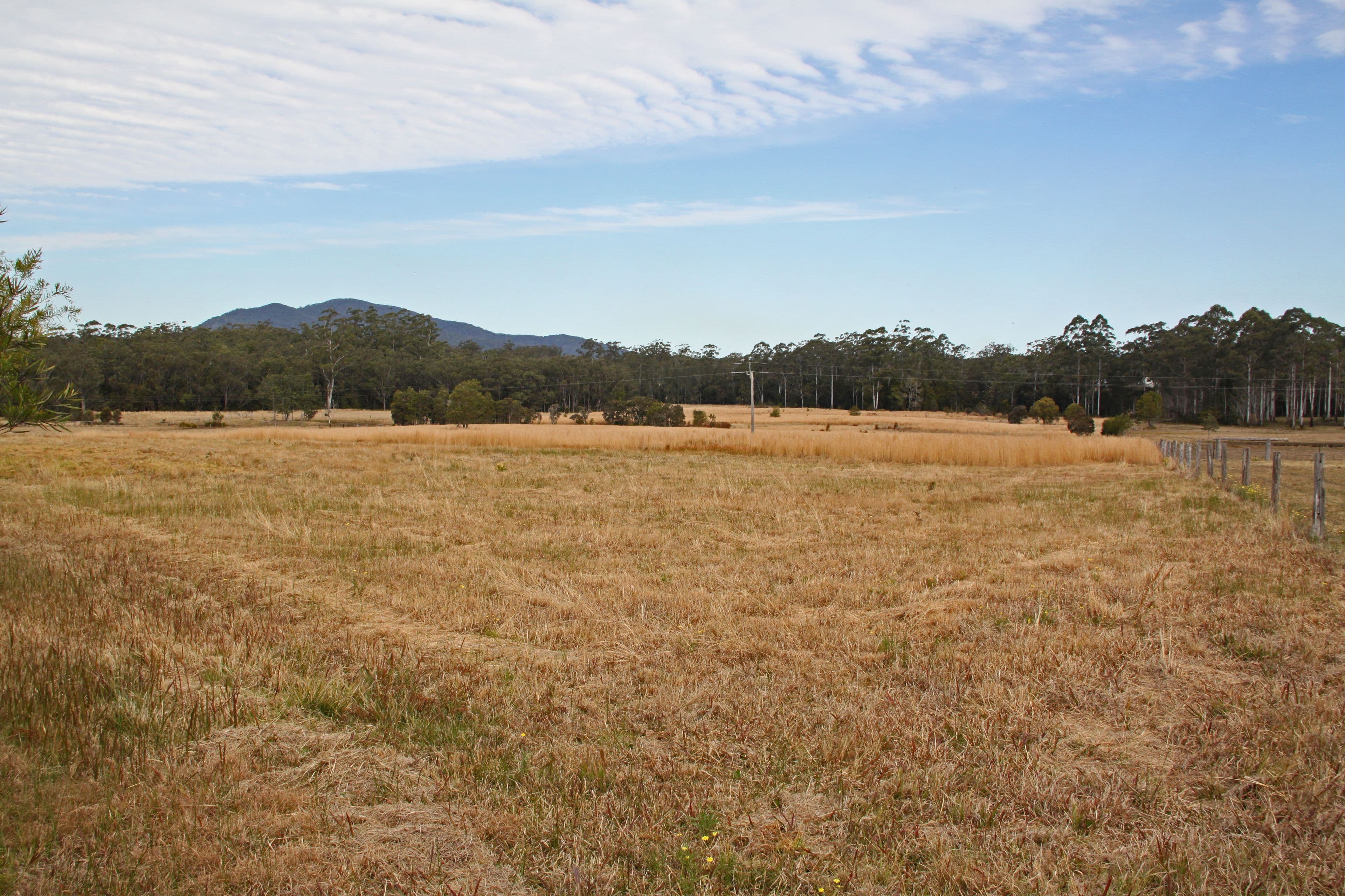 99 Bobs Creek Road, BOBS CREEK NSW 2439, Bobs Creek - Thumbnail 7