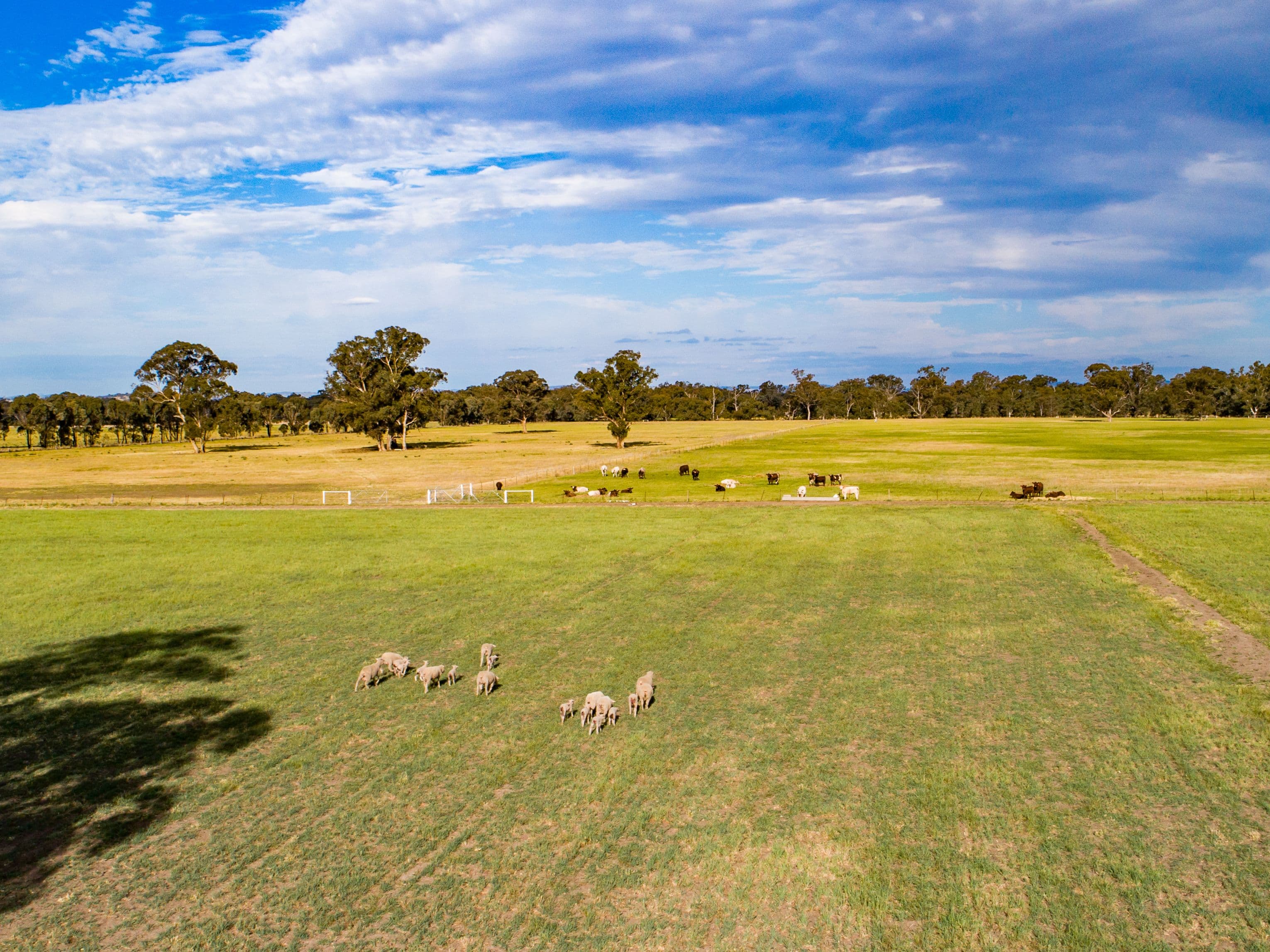 1015 Mid Western Highway, Cowra NSW 2794, Cowra - Thumbnail 7