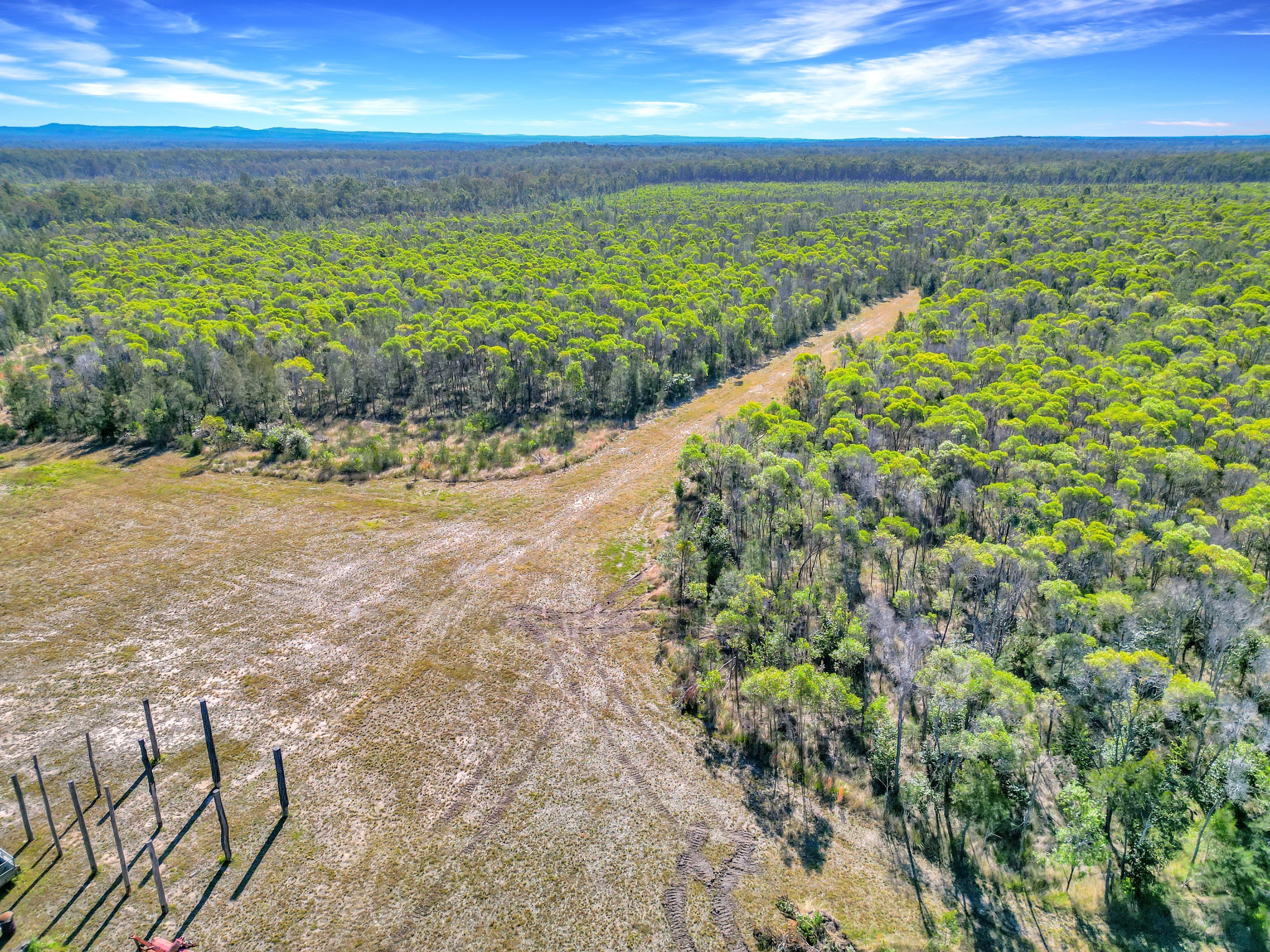 1226 Old Tenterfield Road, Camira NSW 2469, Camira - Thumbnail 7