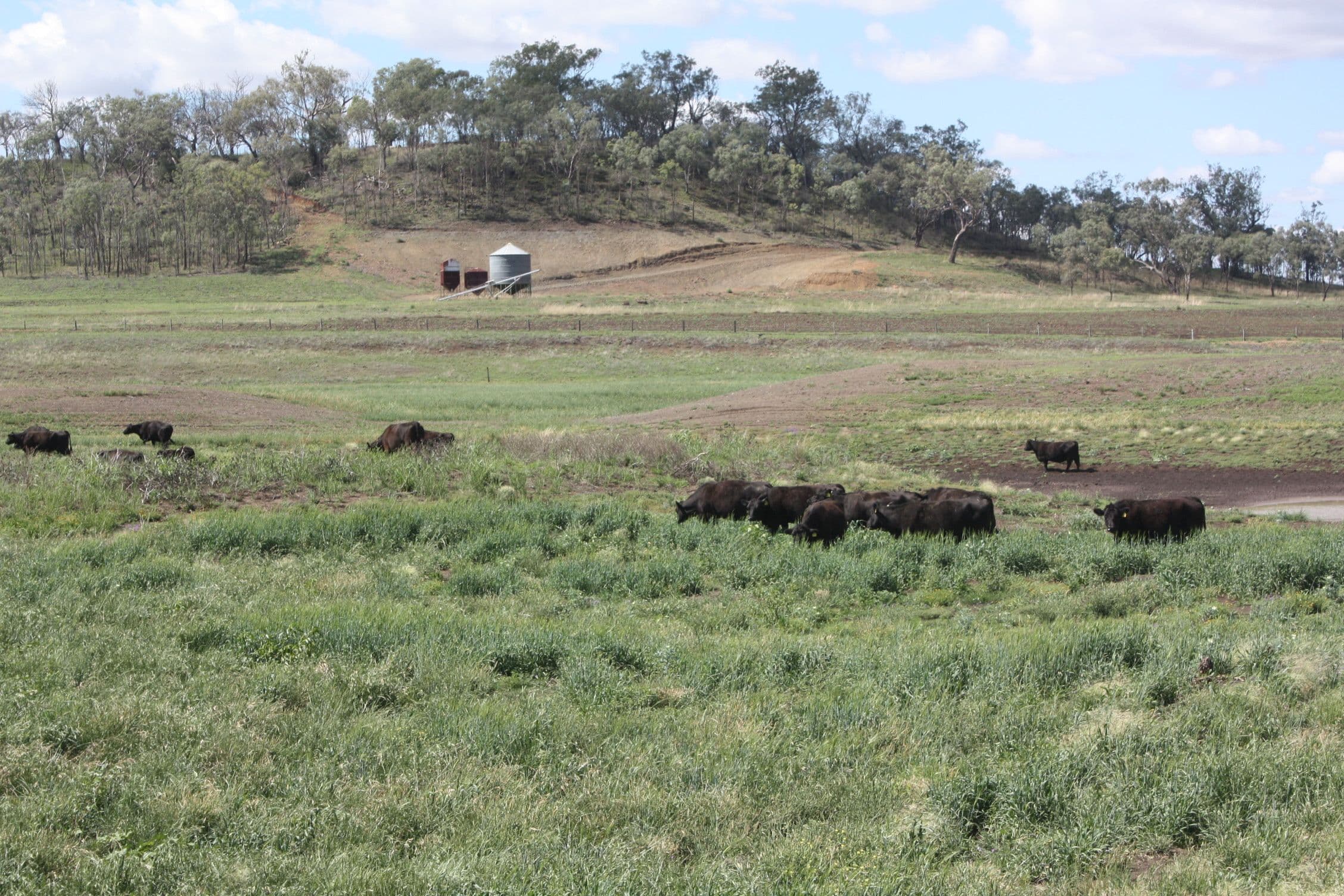 0 Richardson Road, Southbrook QLD 4363, Southbrook - Thumbnail 5