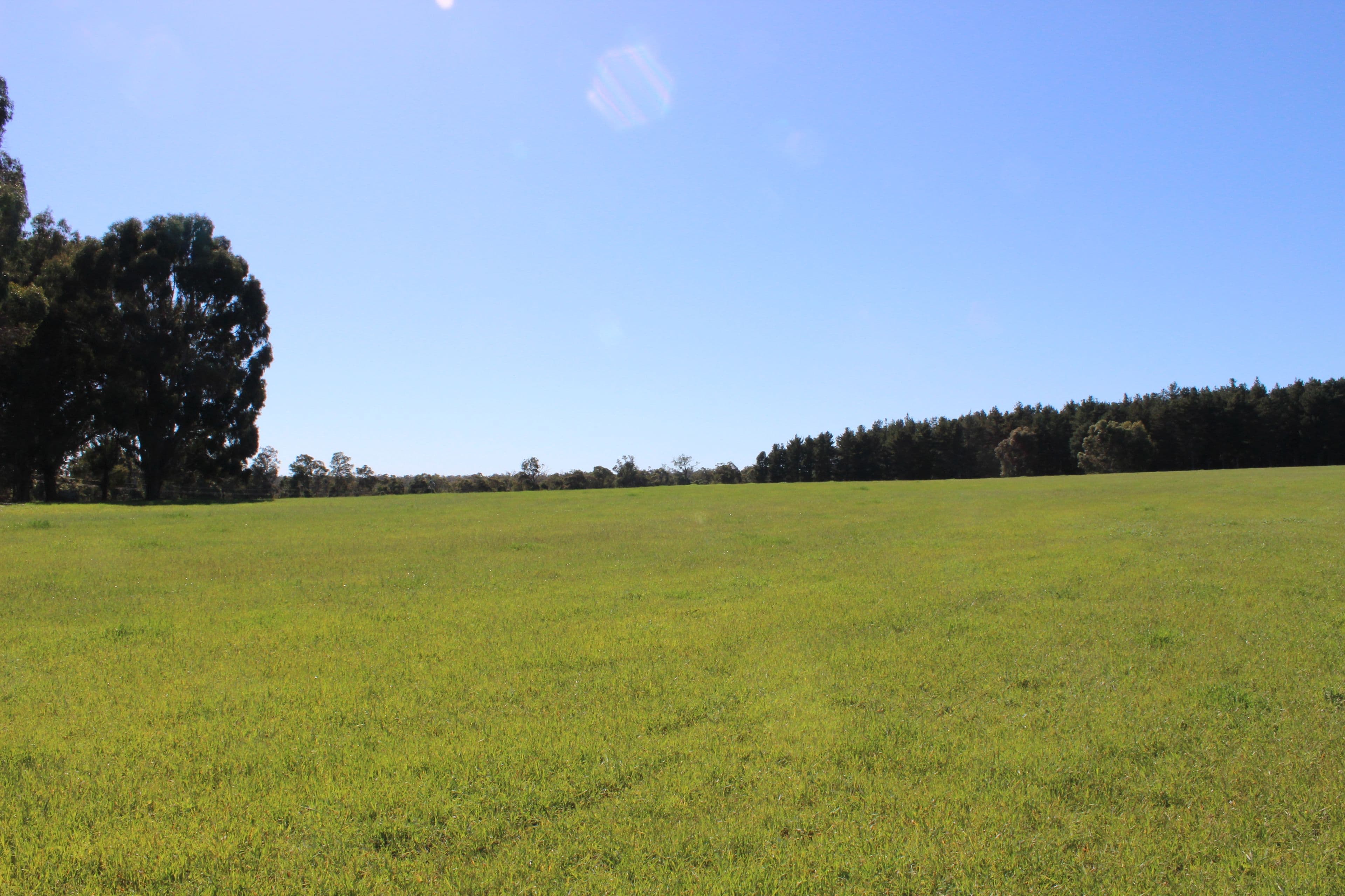 54 Hester Road, Bridgetown WA 6255, Bridgetown - Thumbnail 4