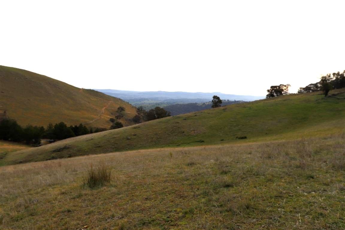 837 Argalong Road, Argalong NSW 2720, Argalong - Thumbnail 6