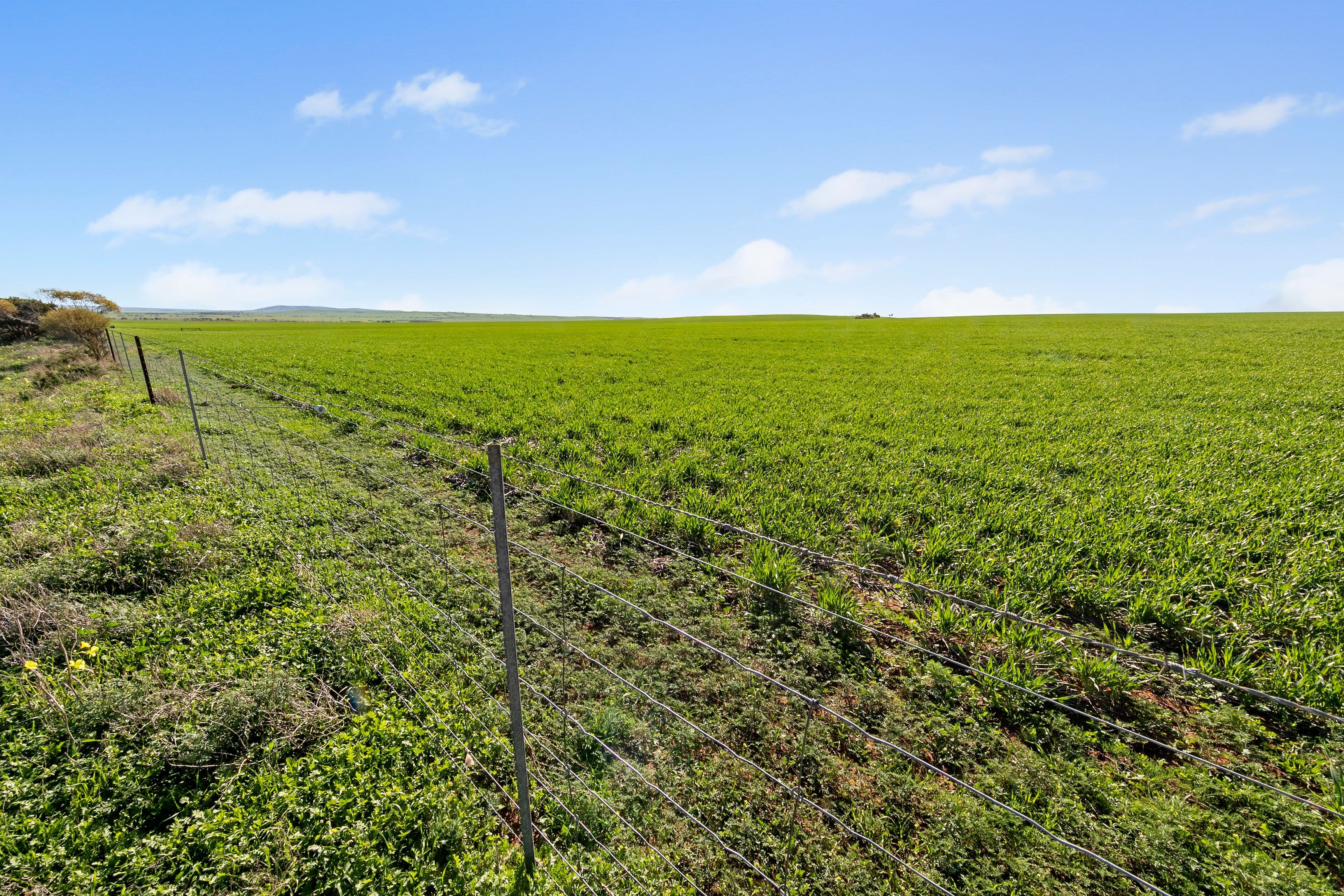 'Allanbie' Pipeline Road, Nantawarra SA 5550, Nantawarra - Thumbnail 8