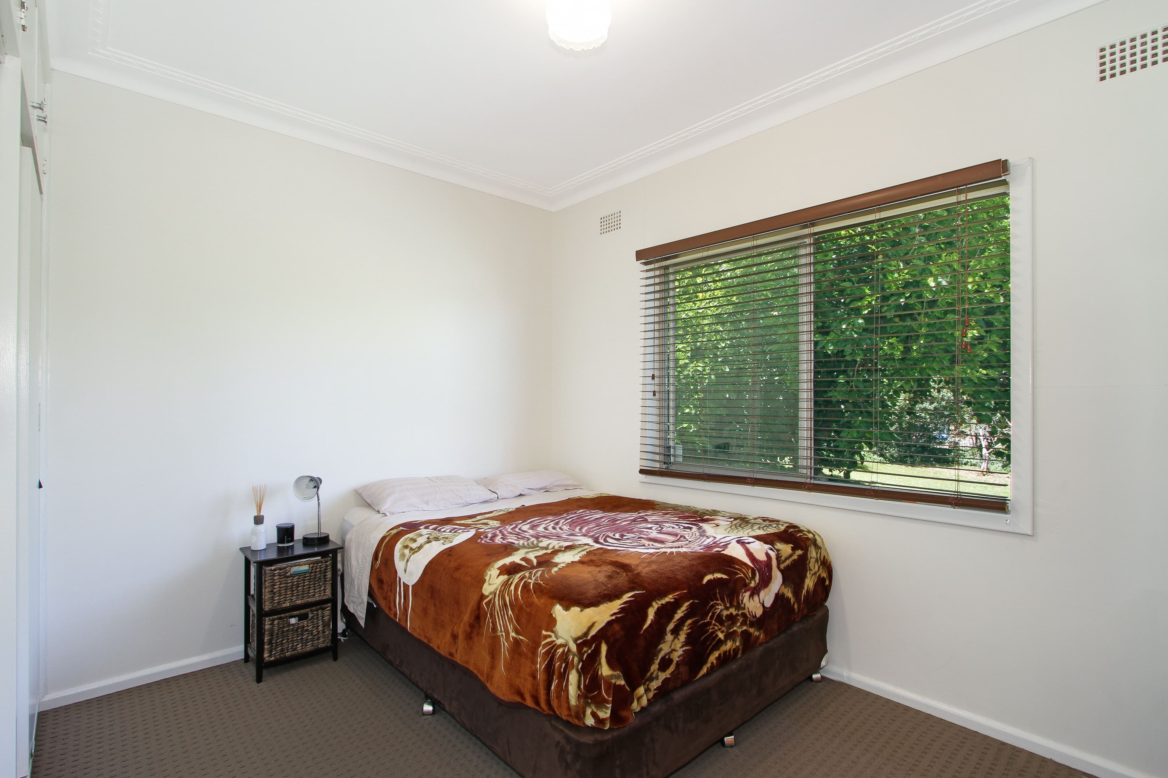 53 Hall Street, Tamworth NSW 2340, Tamworth - Thumbnail 7