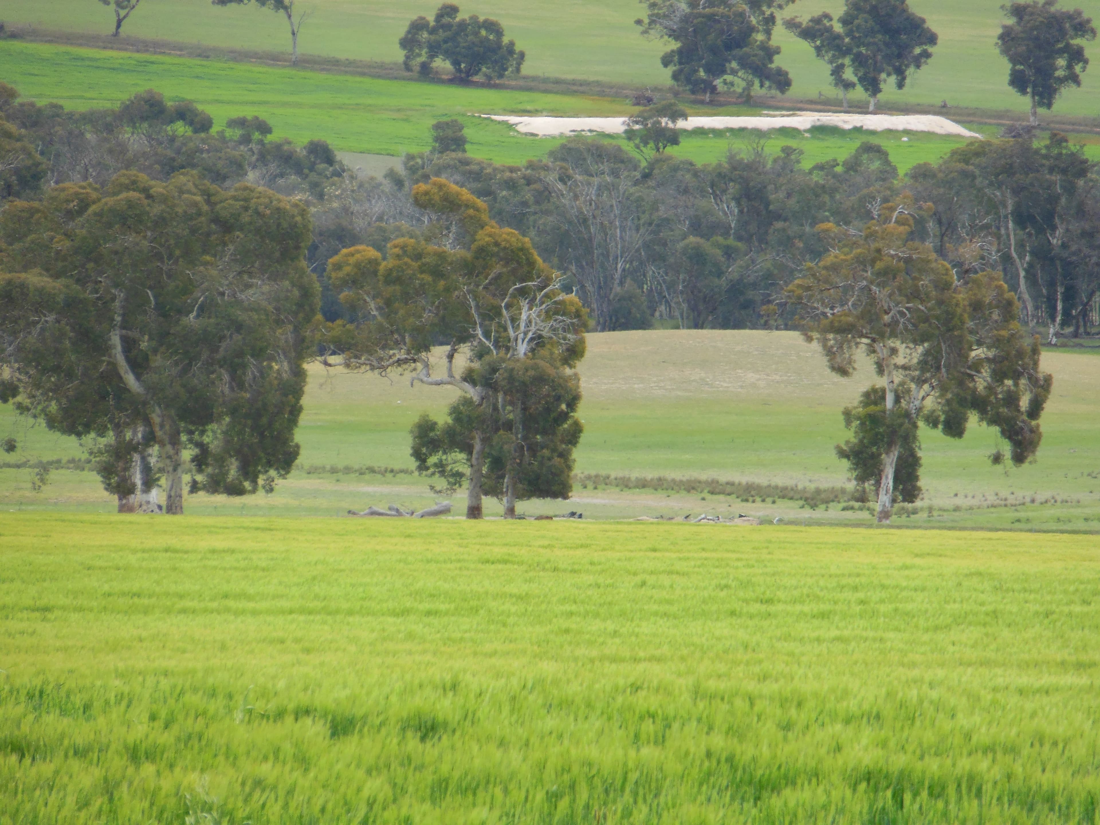 Uannup Road, CRANBROOK WA 6321, Cranbrook - Image 1