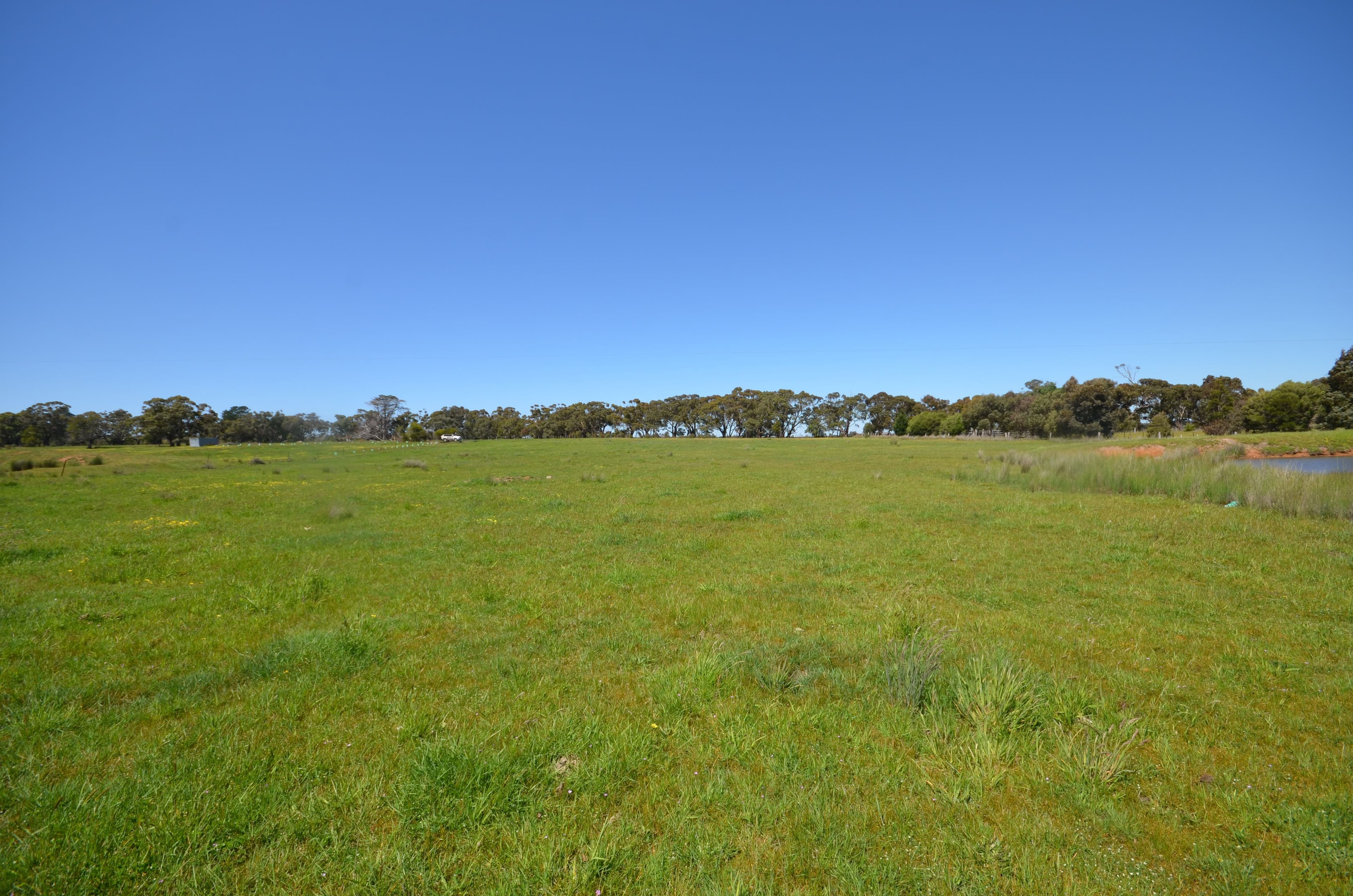 CA 1 Berringa Road, Berringa  Victoria  3351, Australia, Berringa - Thumbnail 3