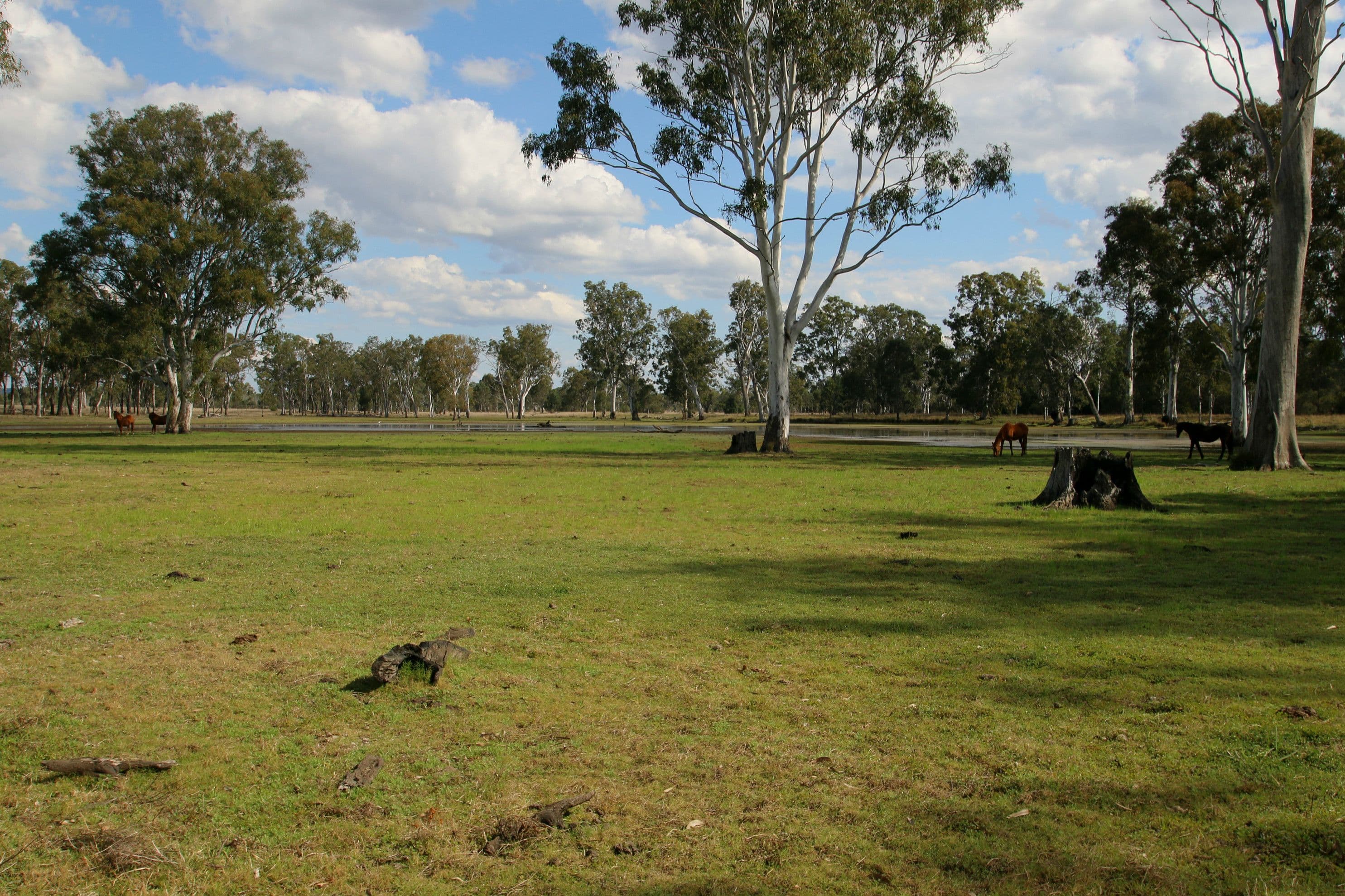 Monto QLD 4630, Monto - Thumbnail 3